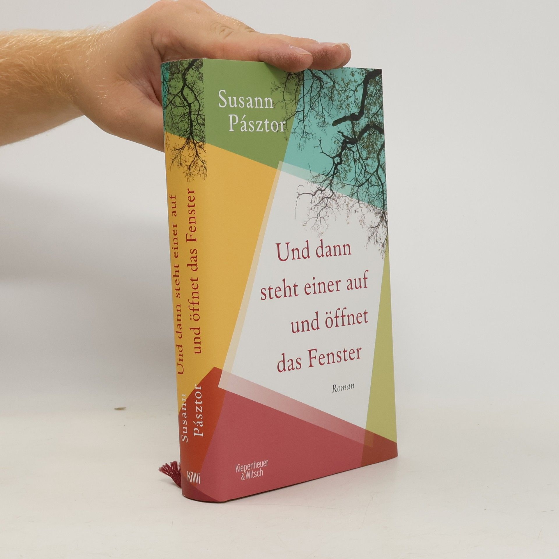 Susann Pásztor Und dann steht einer auf und öffnet das Fenster