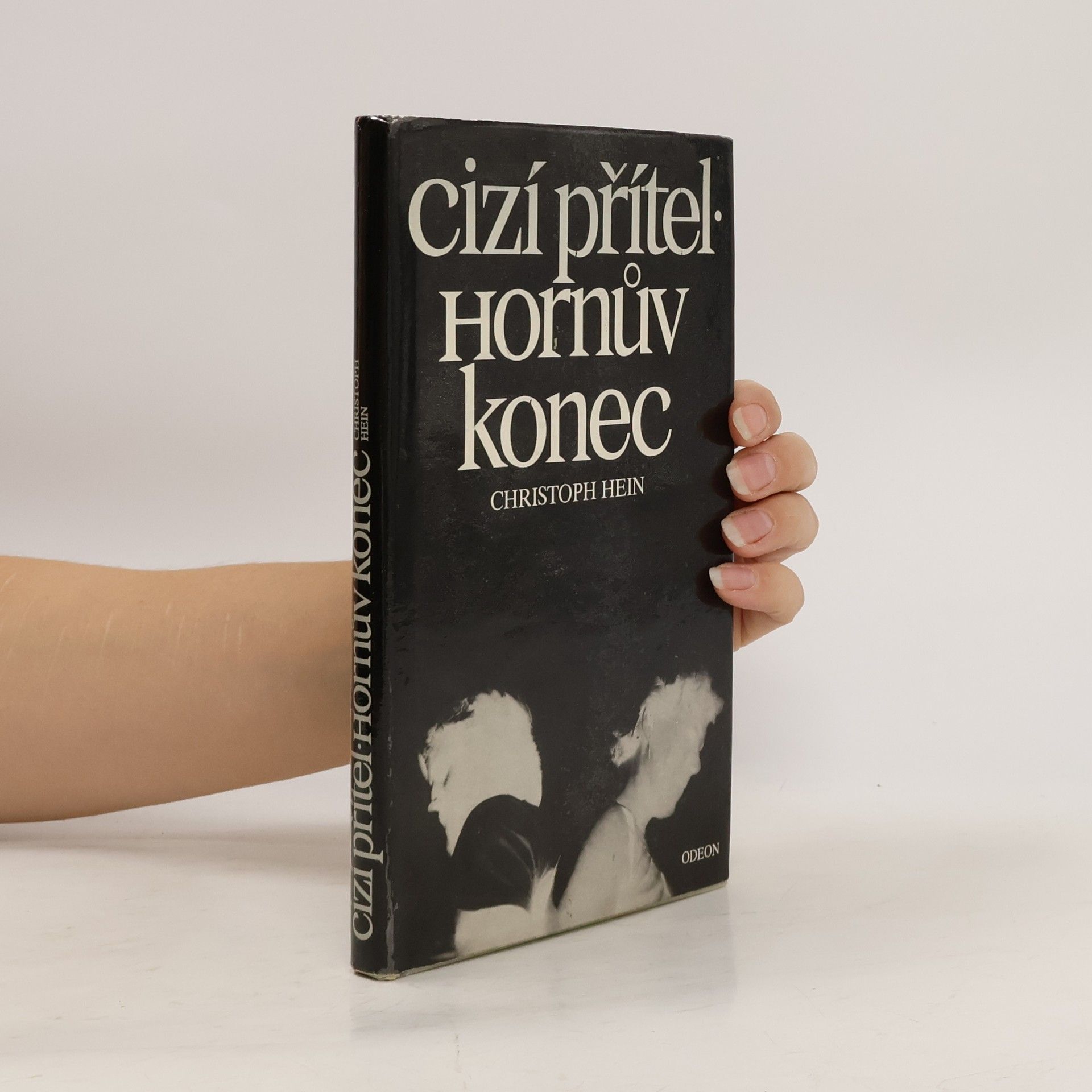 Cizí přítel. Hornův konec