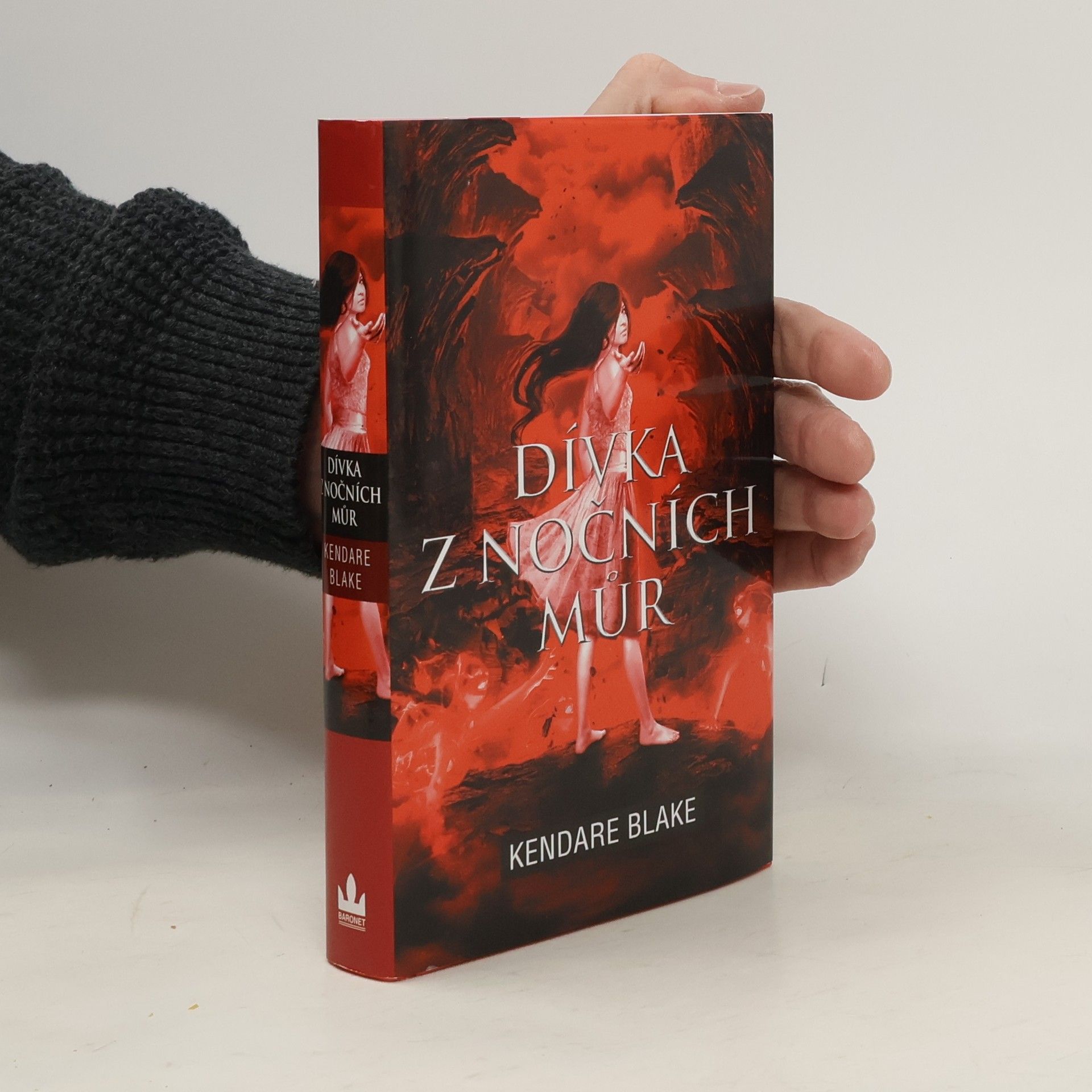 Dívka z nočních můr