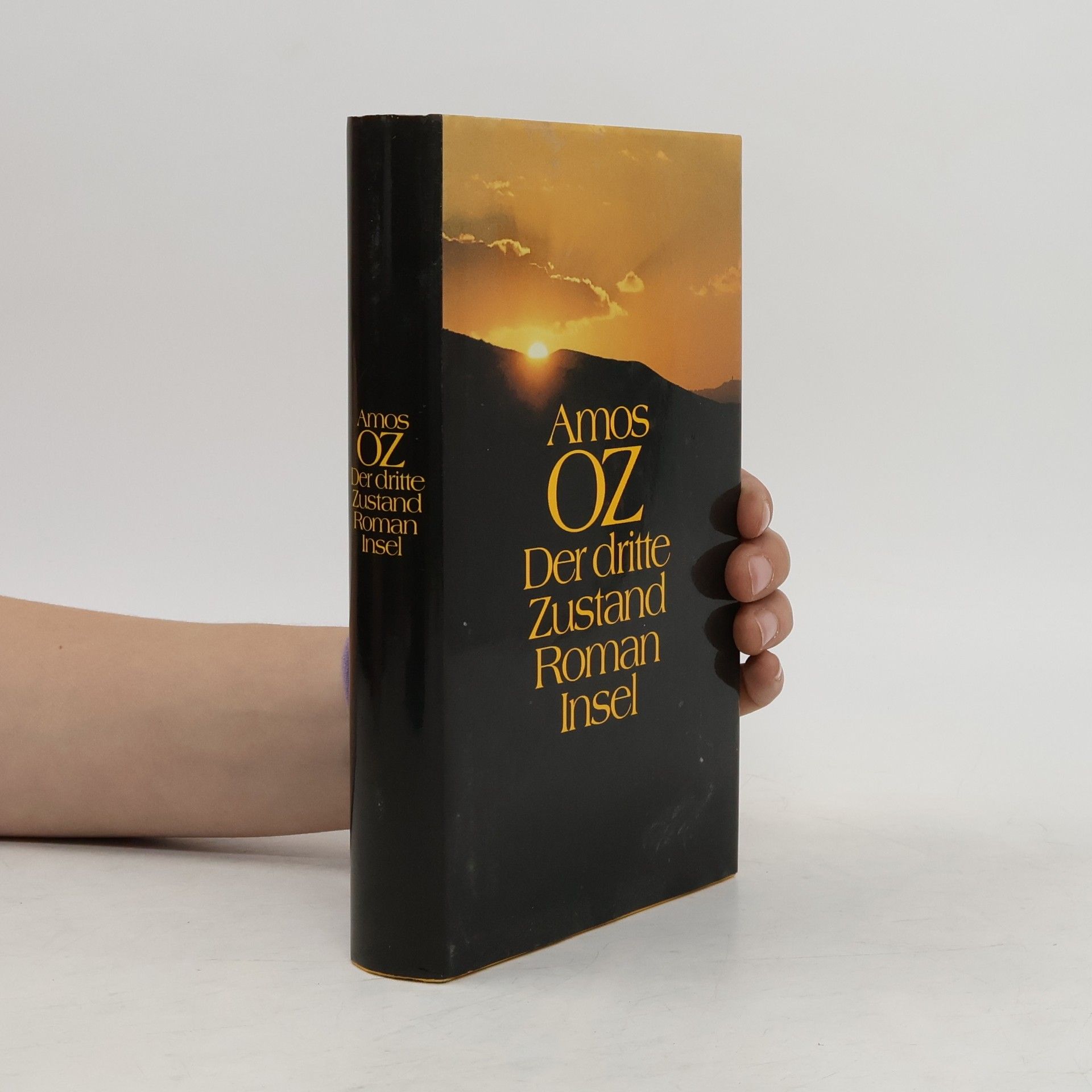 Amos Oz Der dritte Zustand