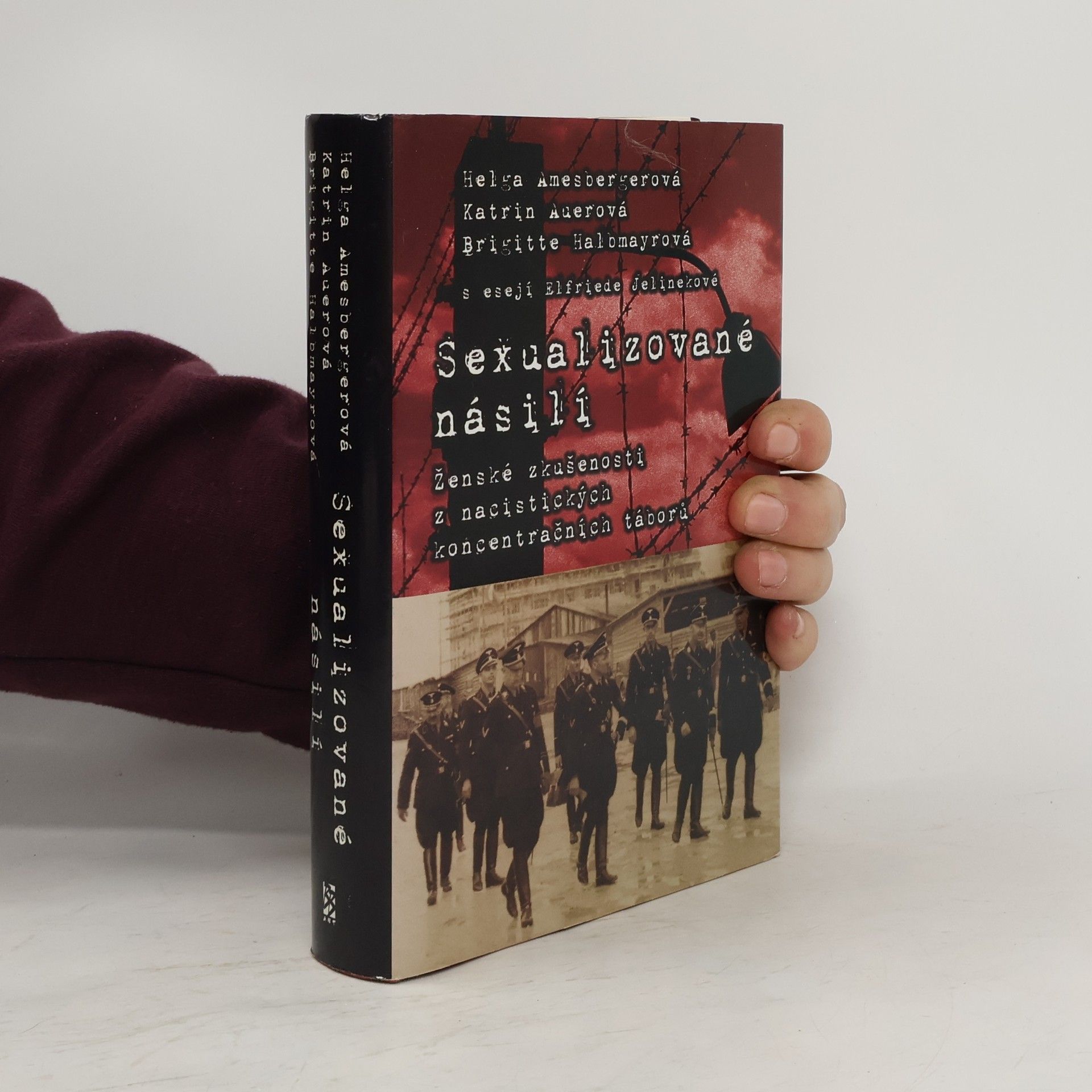 Helga Amesberger Sexualizované násilí