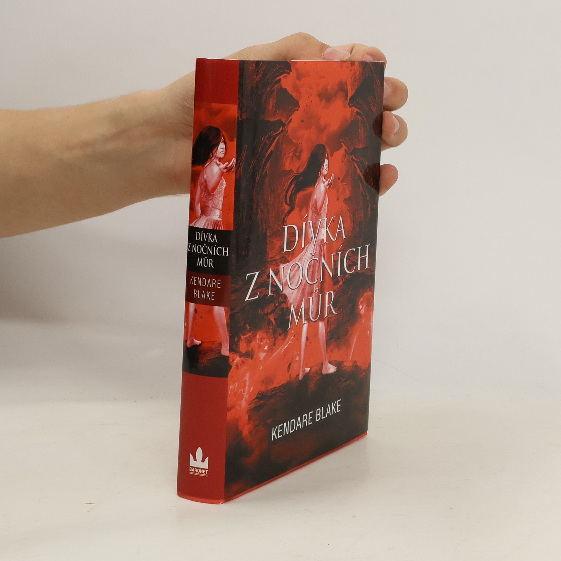 Dívka z nočních můr