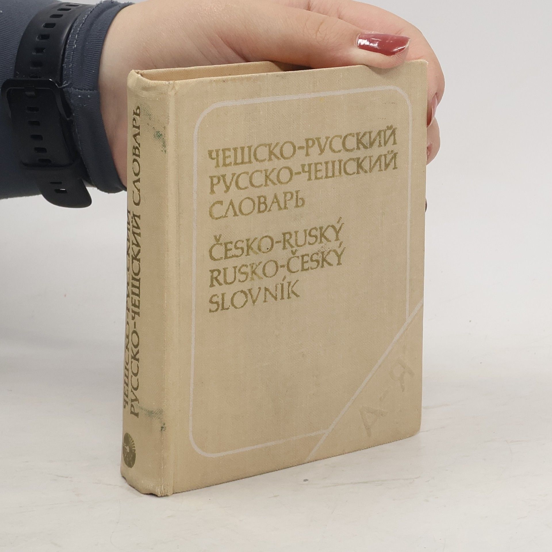 Autorenkollektiv Česko-ruský, rusko-český slovník