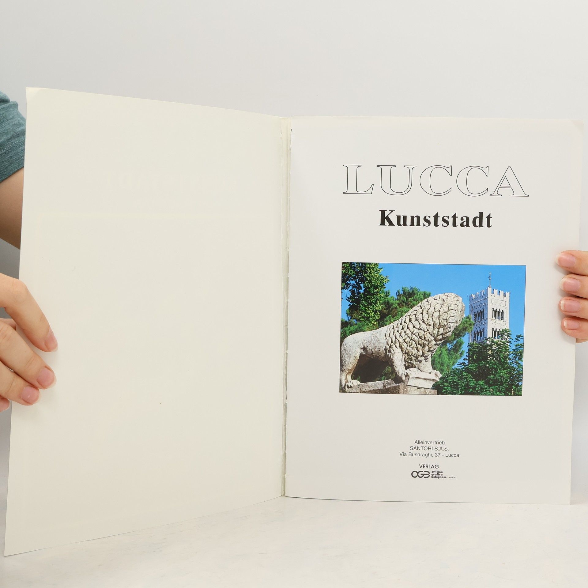 Autorenkollektiv Lucca. Kunststadt mit Stadtplan