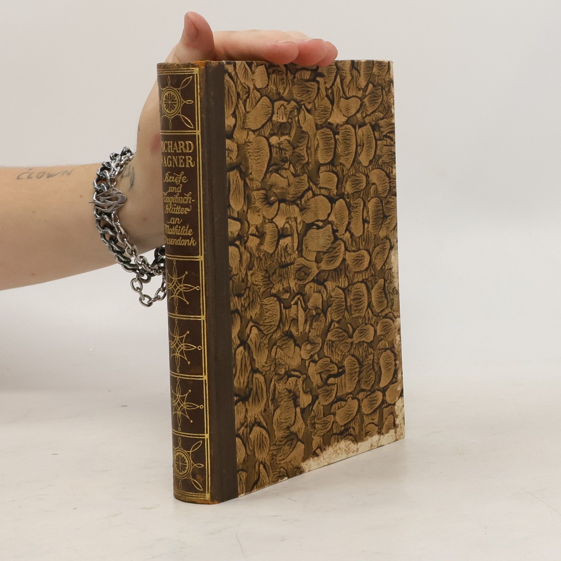 Richard Wagner Tagebuchblätter und Briefe an Mathilde Wesendonk