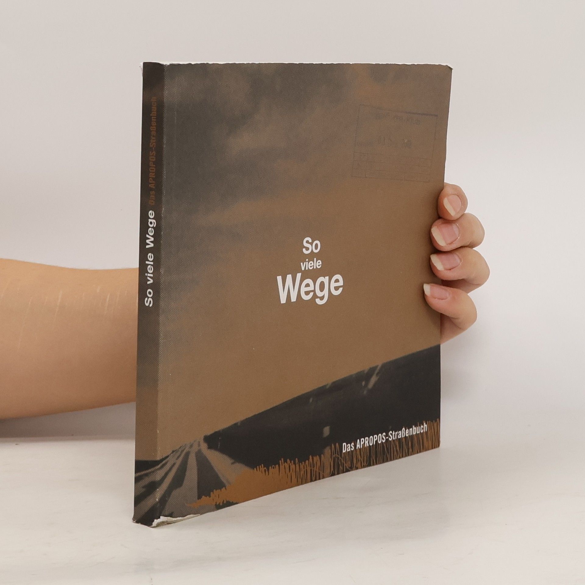 Collectif d'auteurs So viele Wege. Das Apropos Strassenbuch