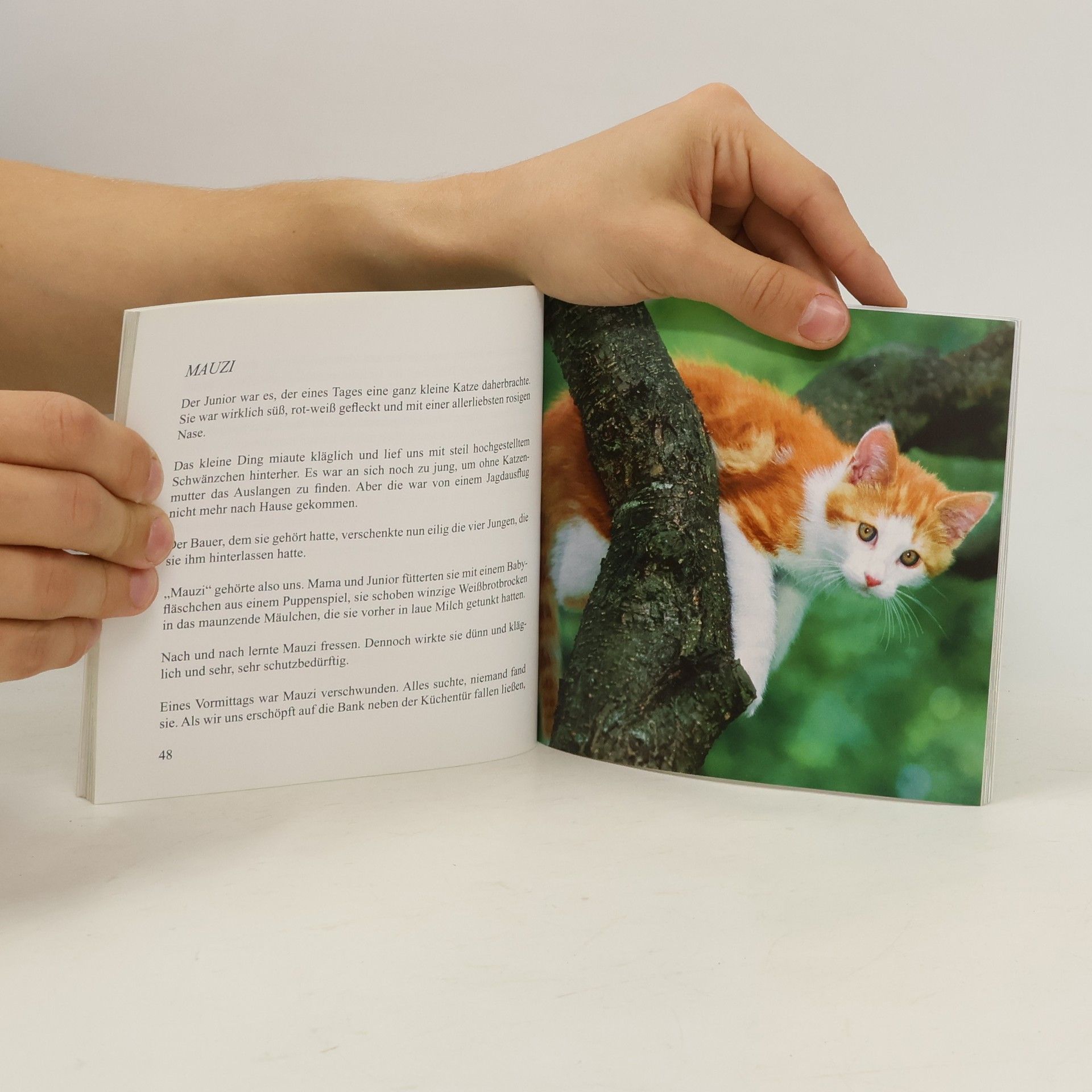 Autorenkollektiv Ein Haus voller Tiere. In memoriam Edith Hauer