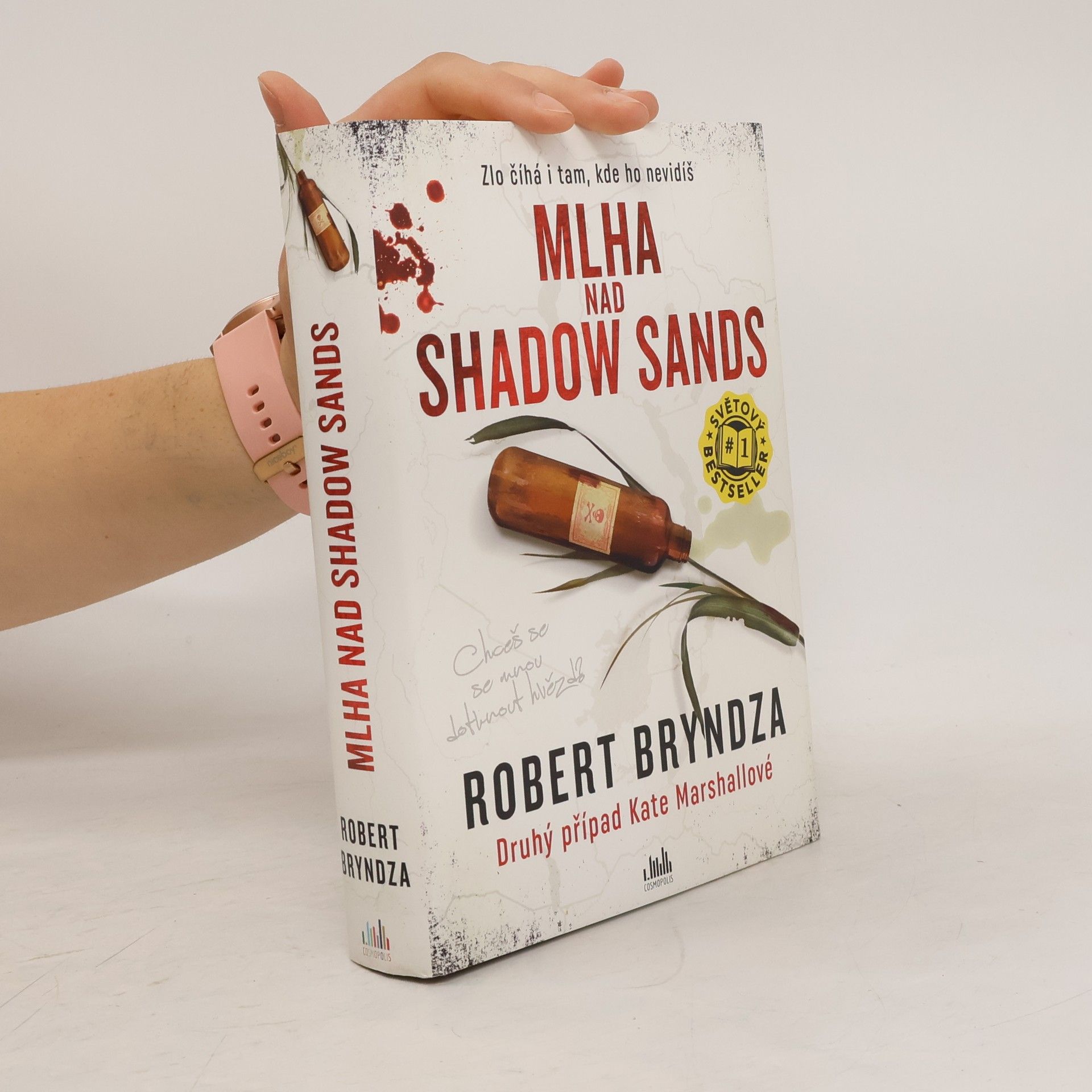 Robert Bryndza Mlha nad Shadow Sands