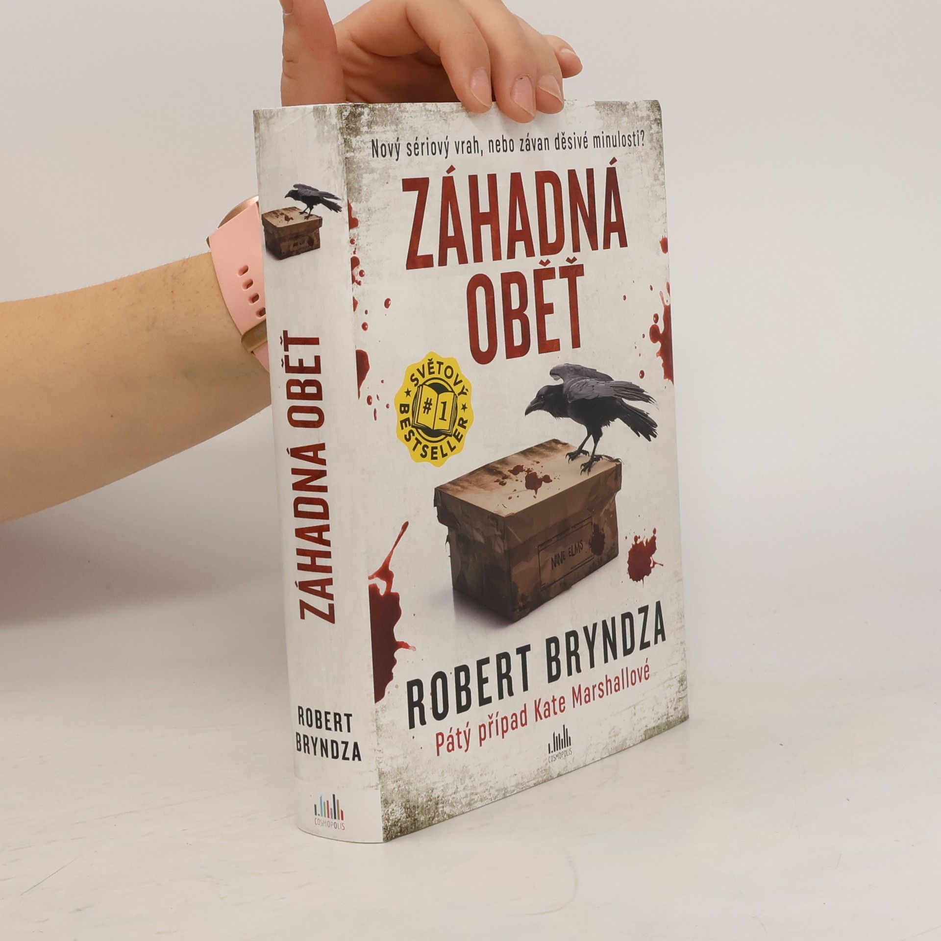 Robert Bryndza Záhadná oběť