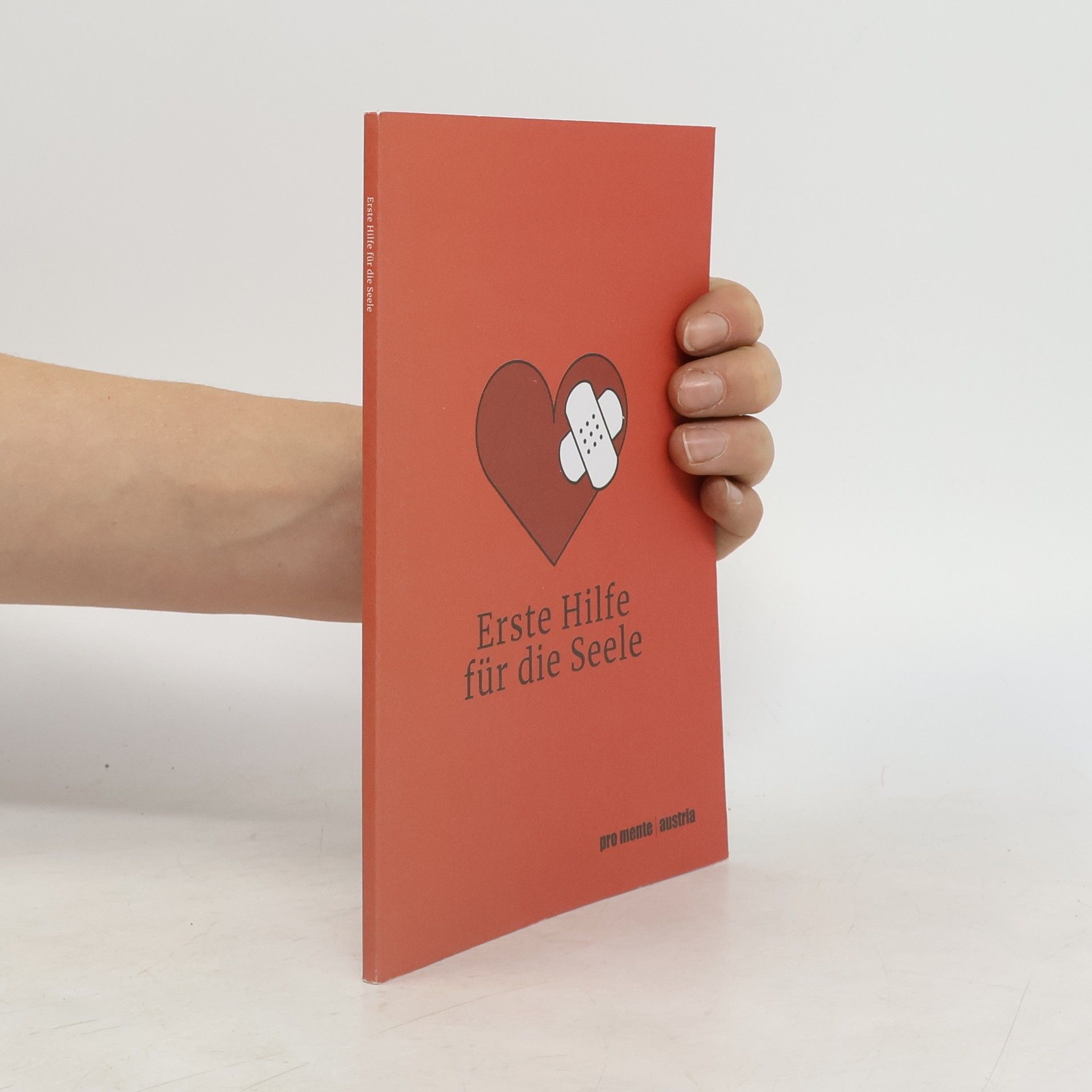 Auteurscollectief Erste Hilfe für die Seele