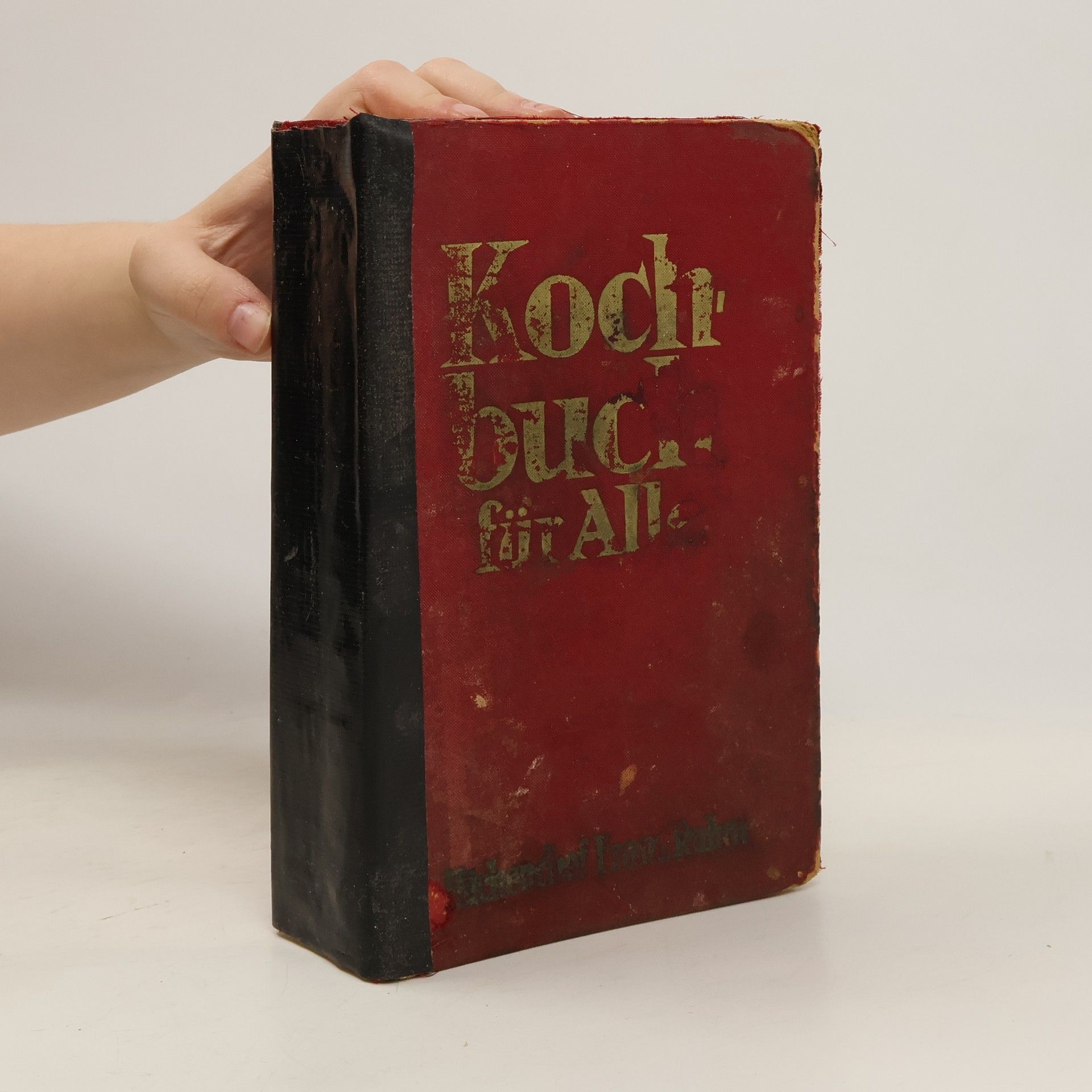 Kolektiv autorů Kochbuch für Alles