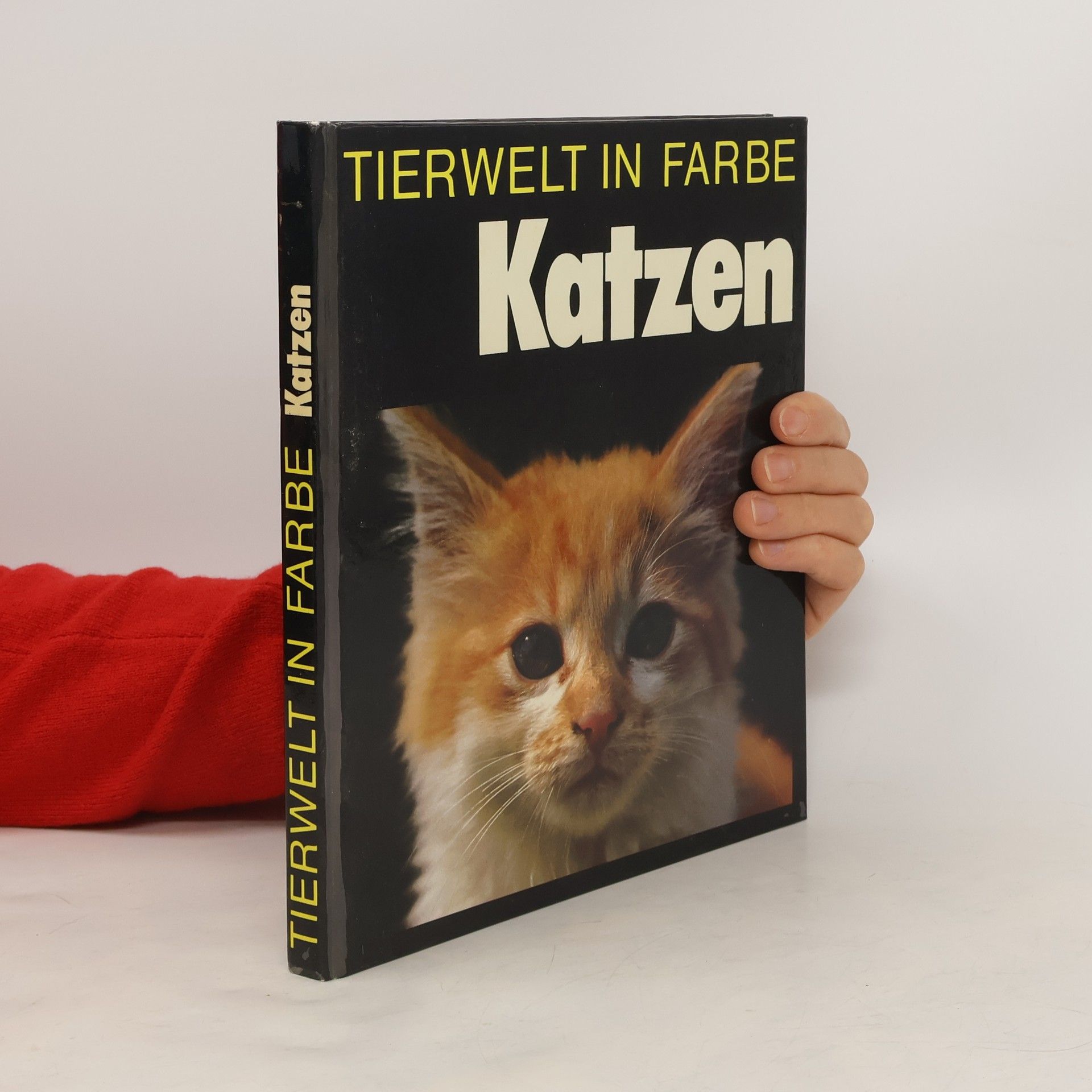 Helmut Pisinger Tierwelt in Farbe: Katzen