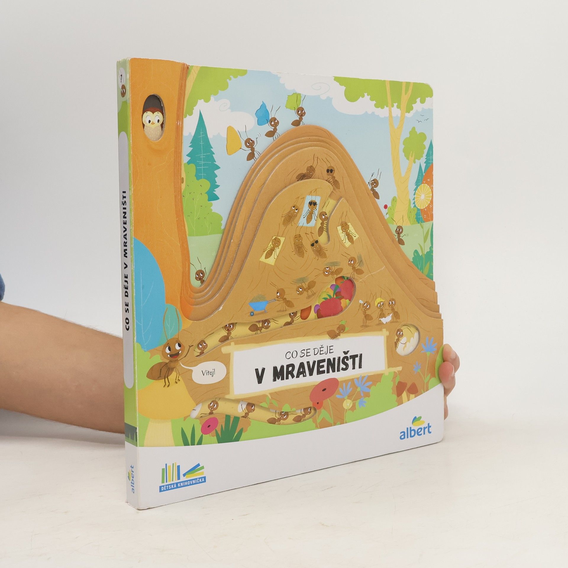 Kolektiv autorů Co se děje v mraveništi