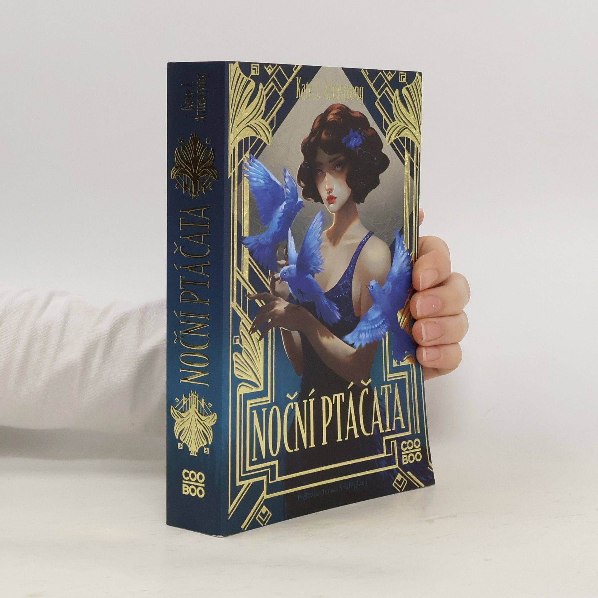 Tereza Schlöglová Noční ptáčata