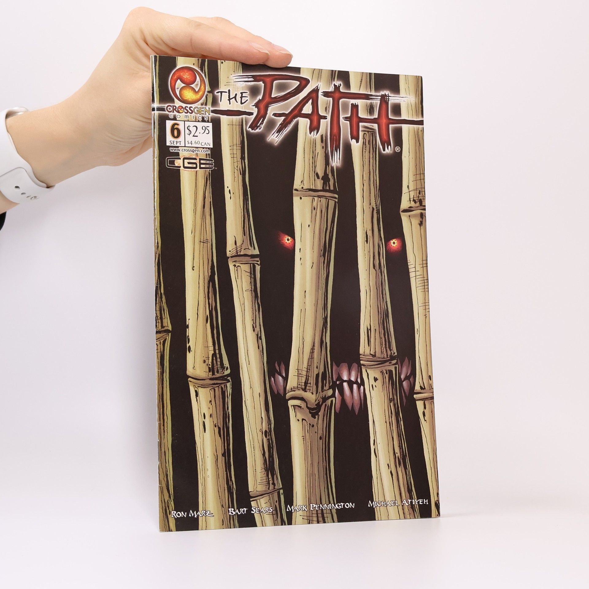 Kolektiv autorů The Path Vol 1. Issue 6