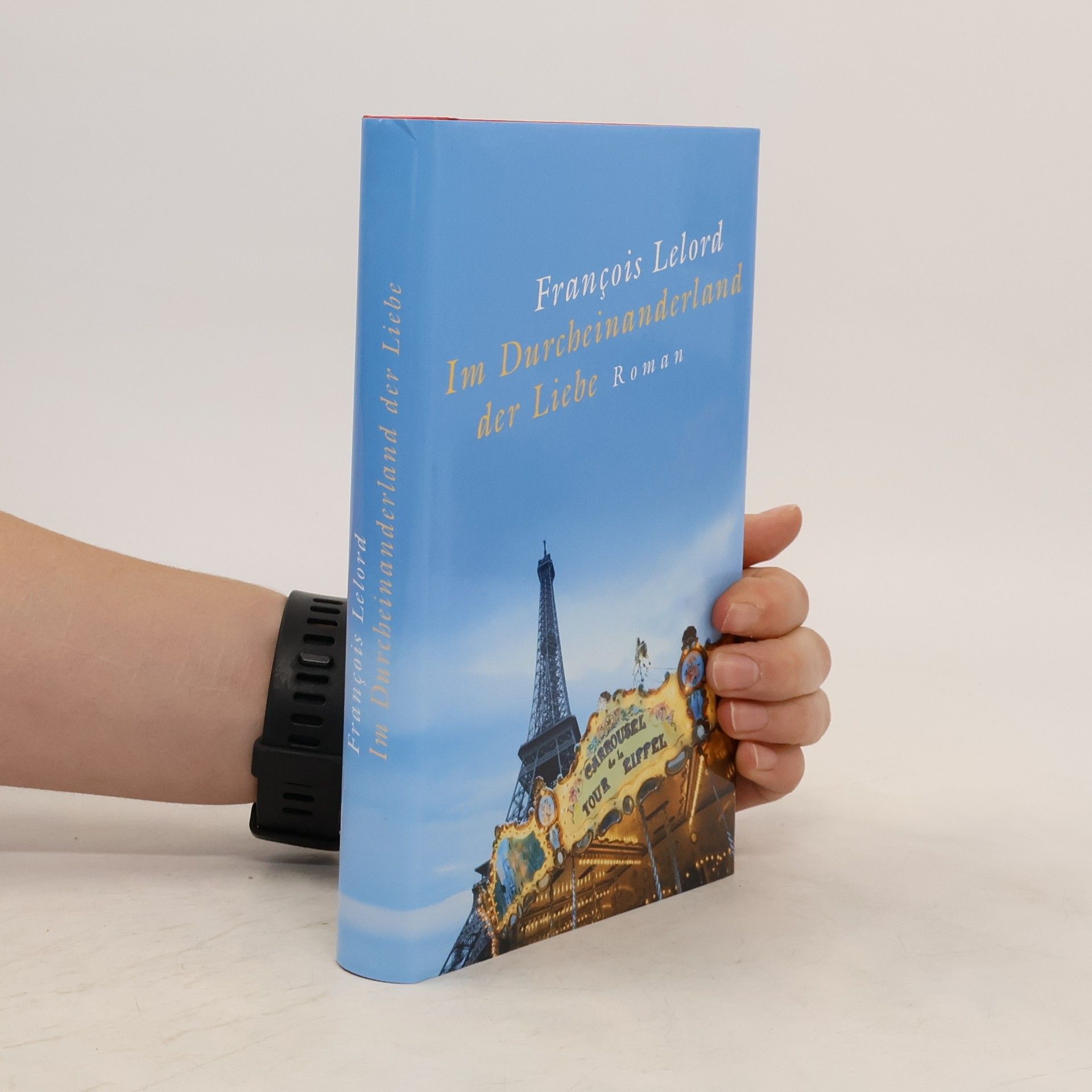 François Lelord Im Durscheinanderrland der Liebe