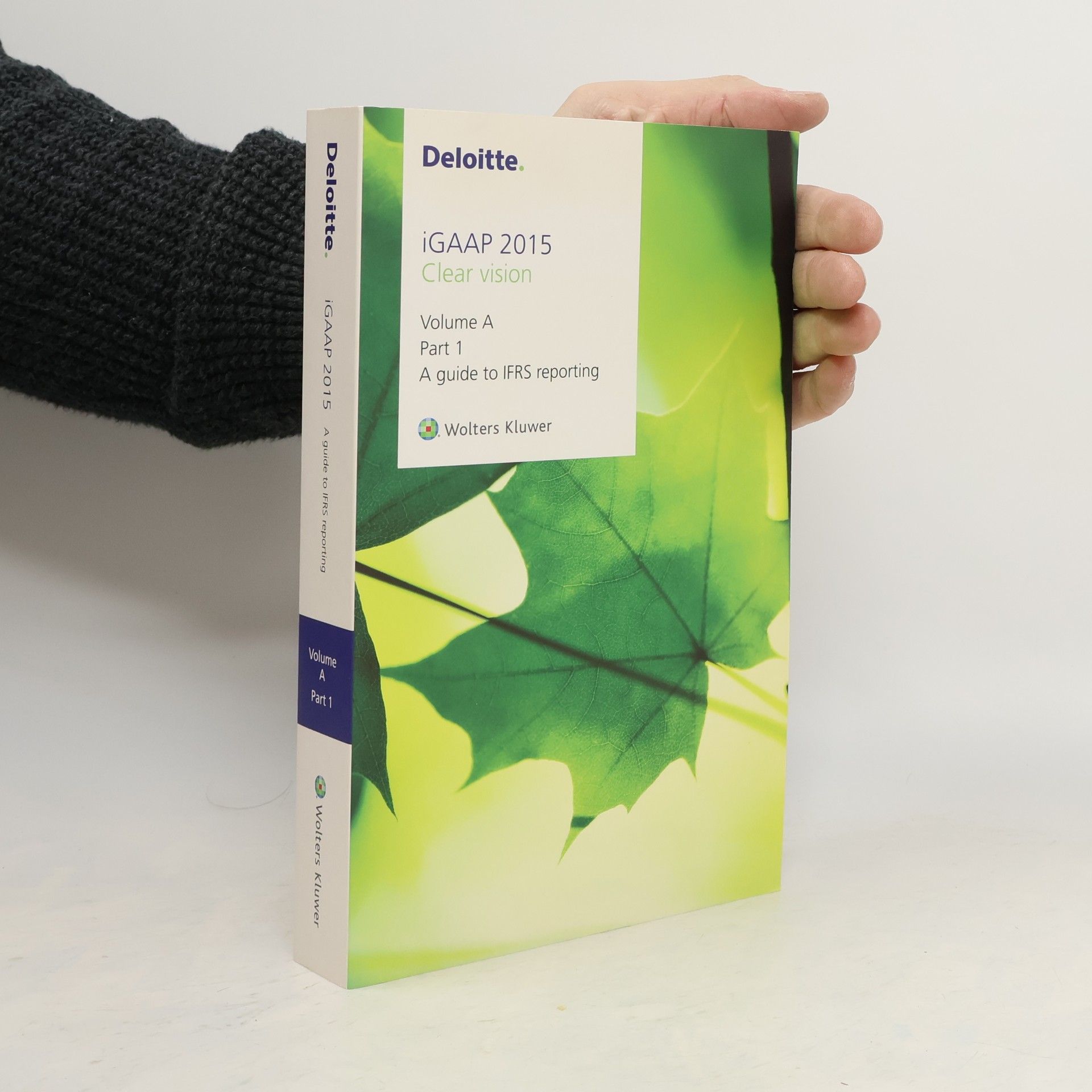 Kolektív autorov Deloitte IGAAP 2015