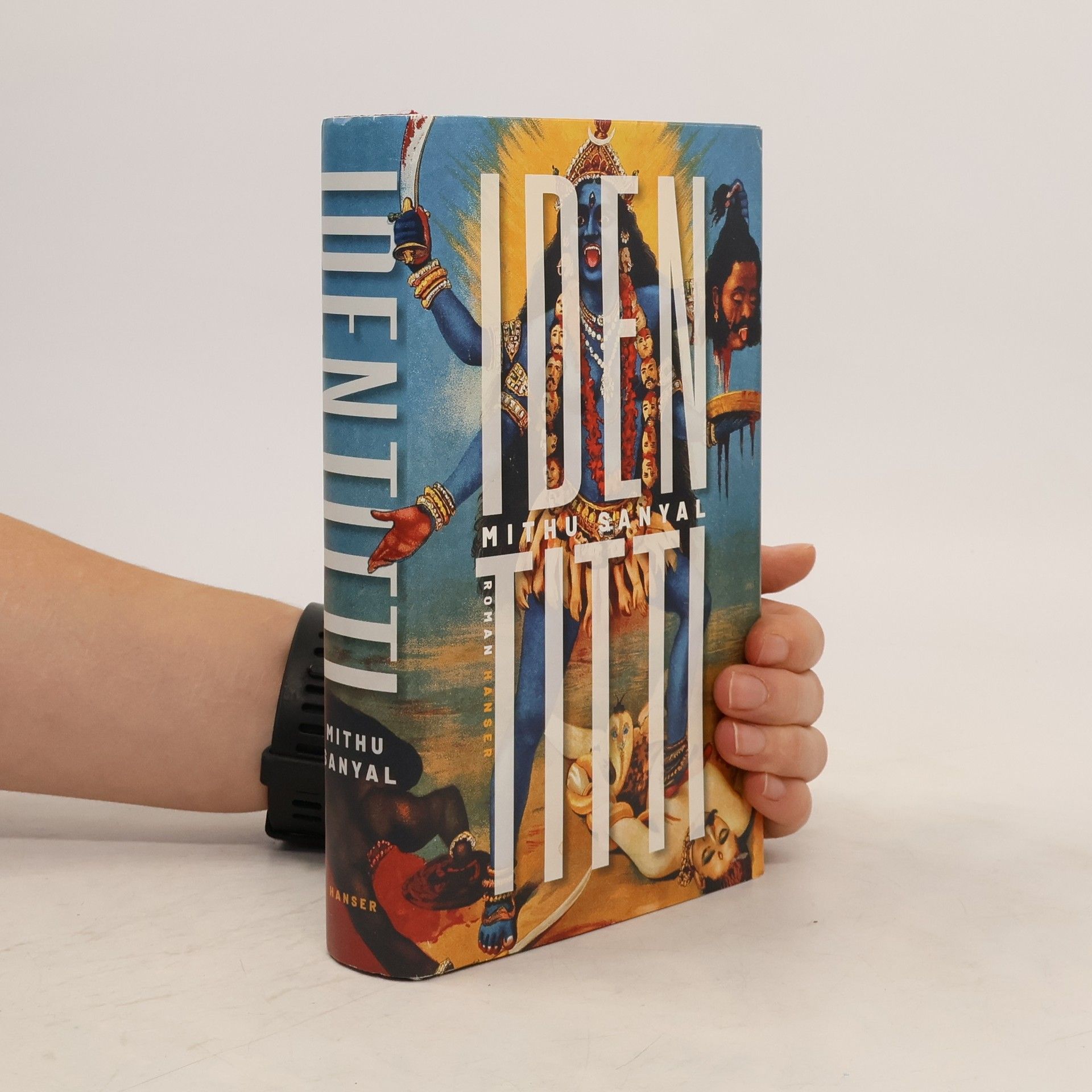 Mithu Sanyal Identitti : Roman