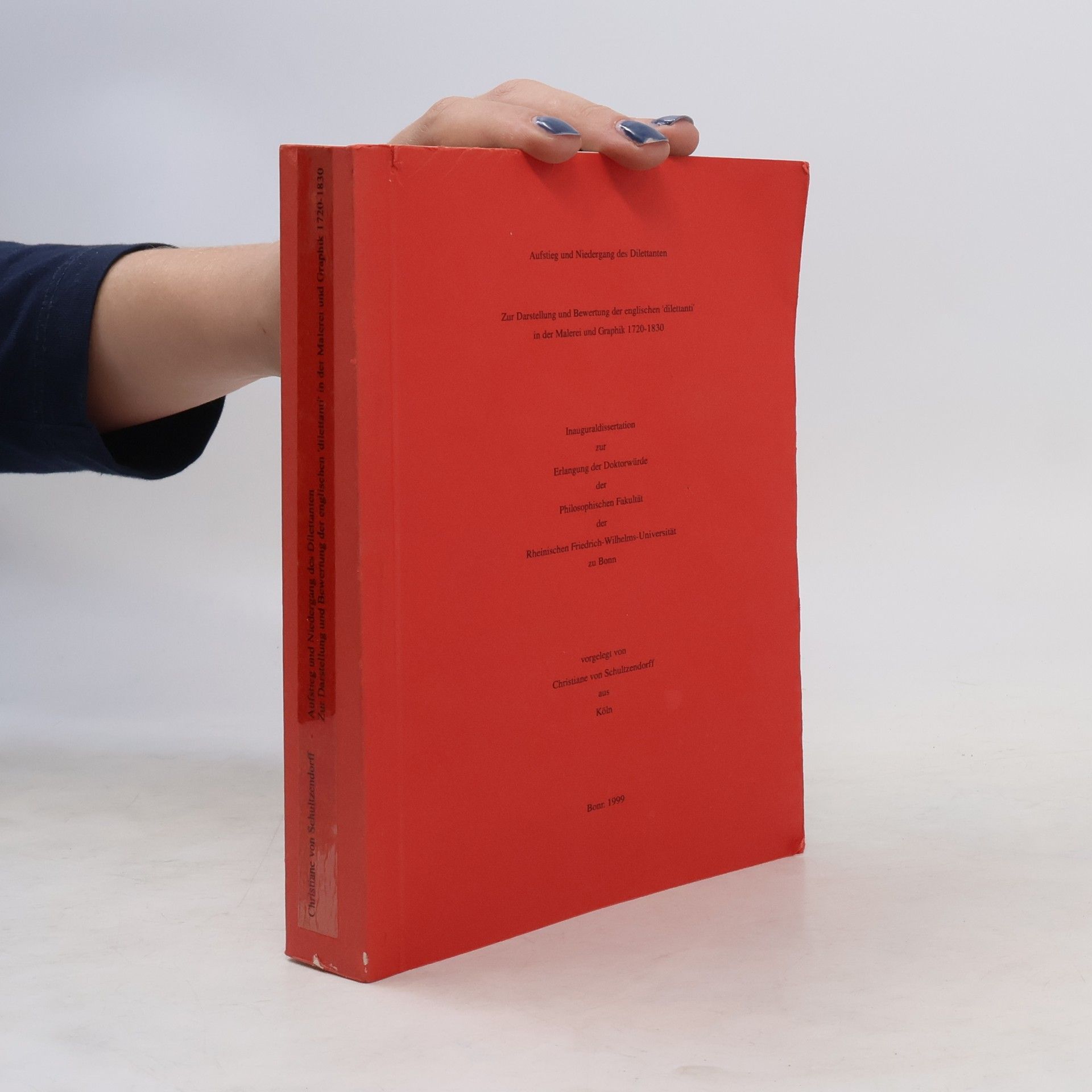 kolektiv Aufstieg und Niedergang der Dilettanten
