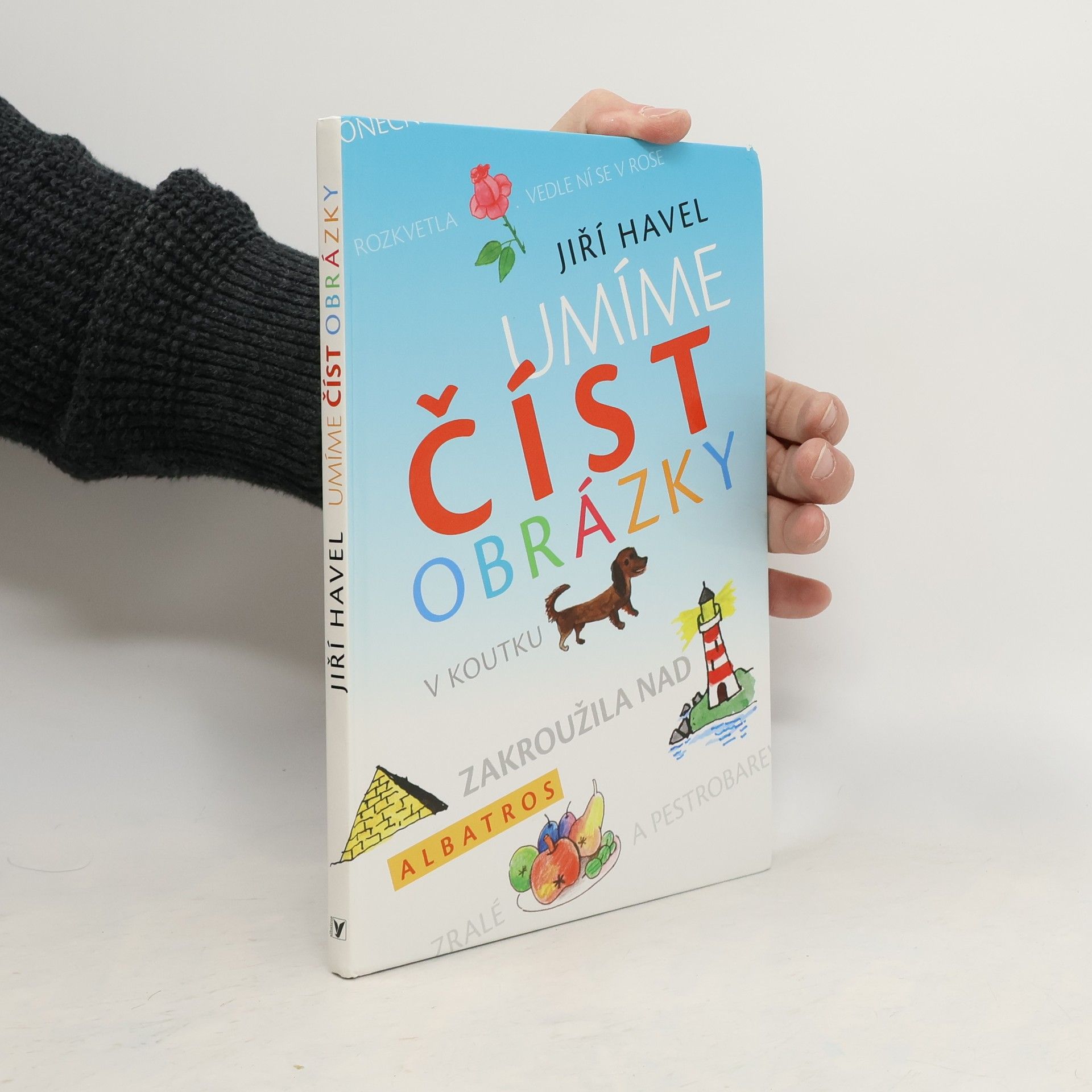 Jiří Havel Umíme číst obrázky