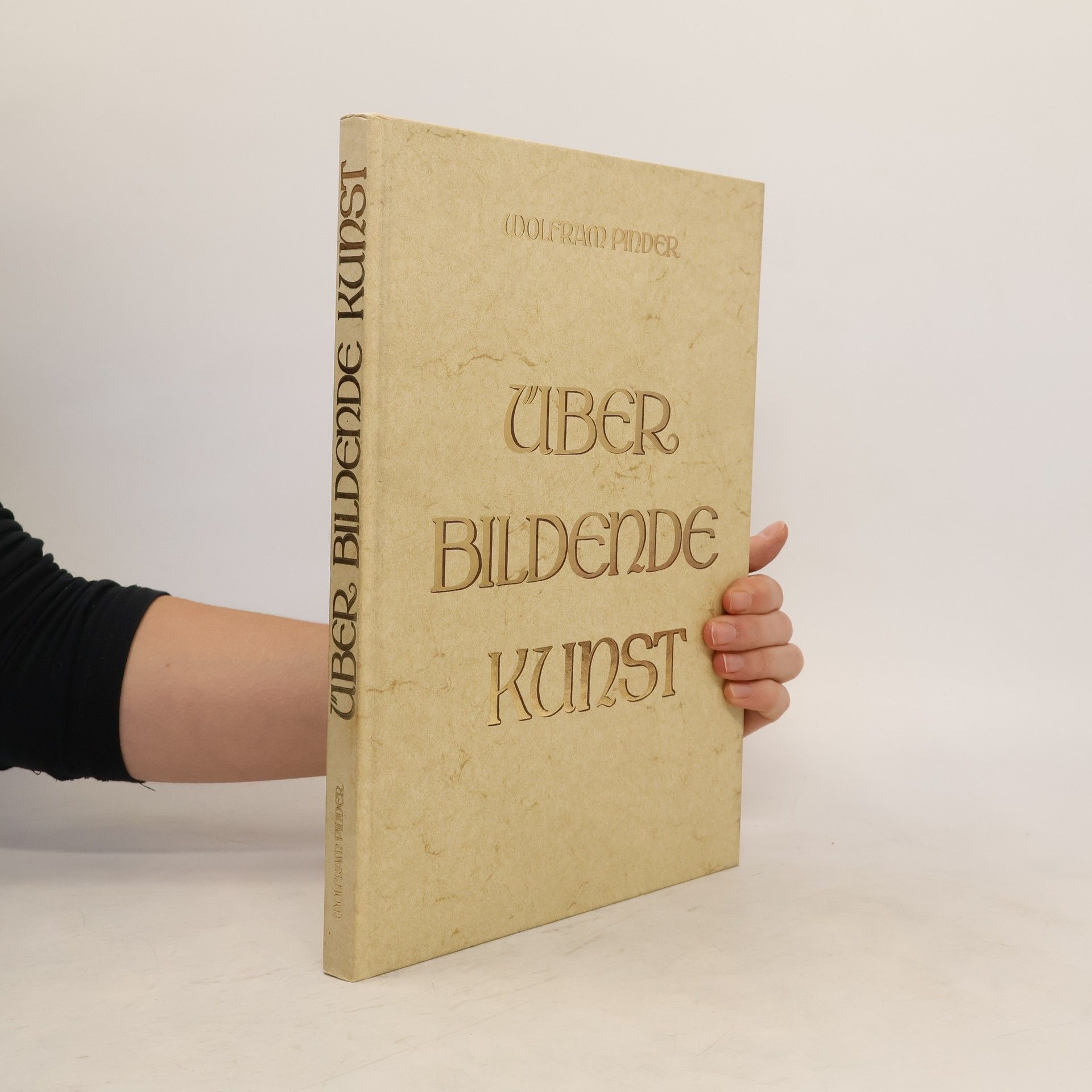 Wolfram Pinder Über bildende Kunst