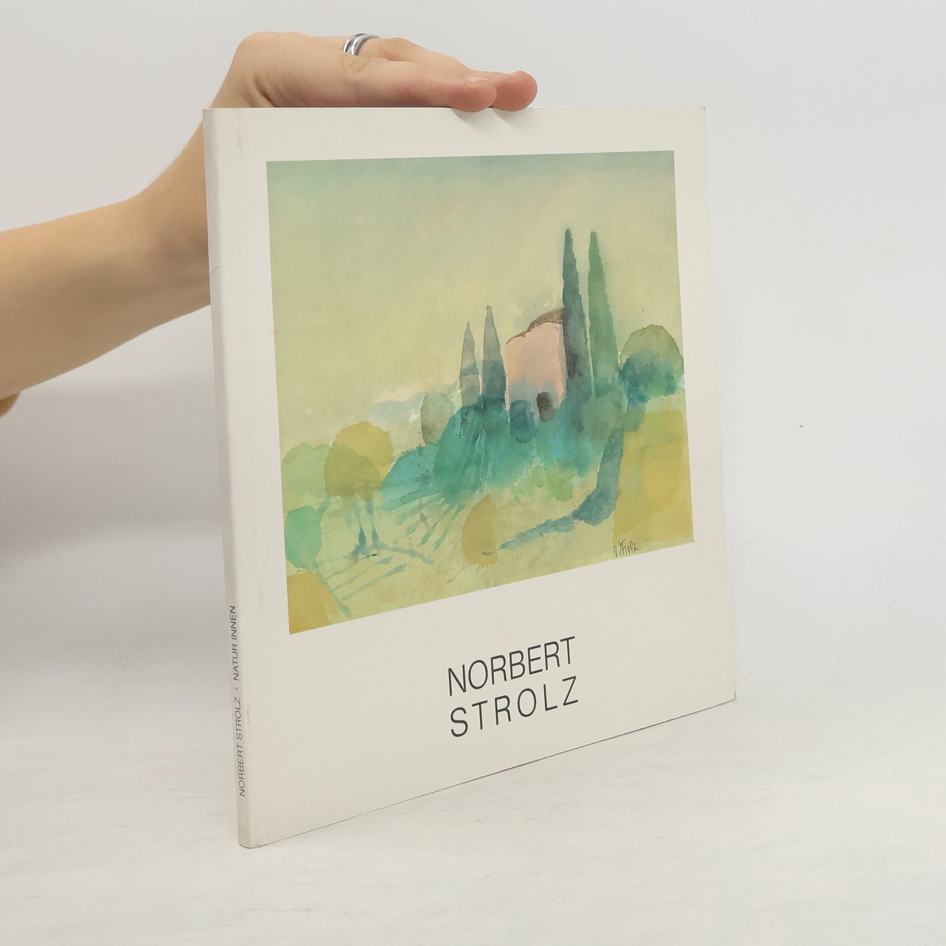 Auteurscollectief Norbert Strolz