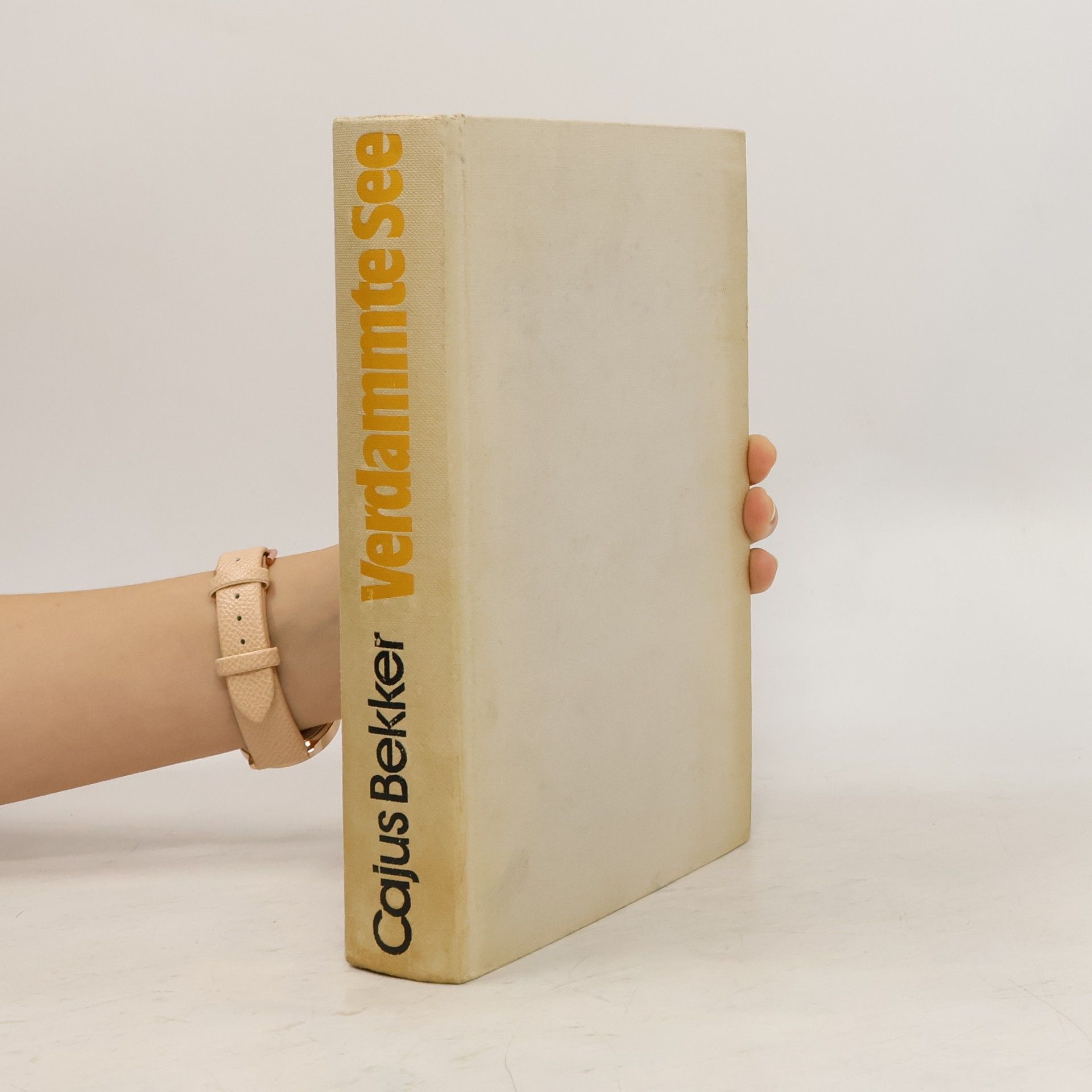 AA.VV. Verdammte See