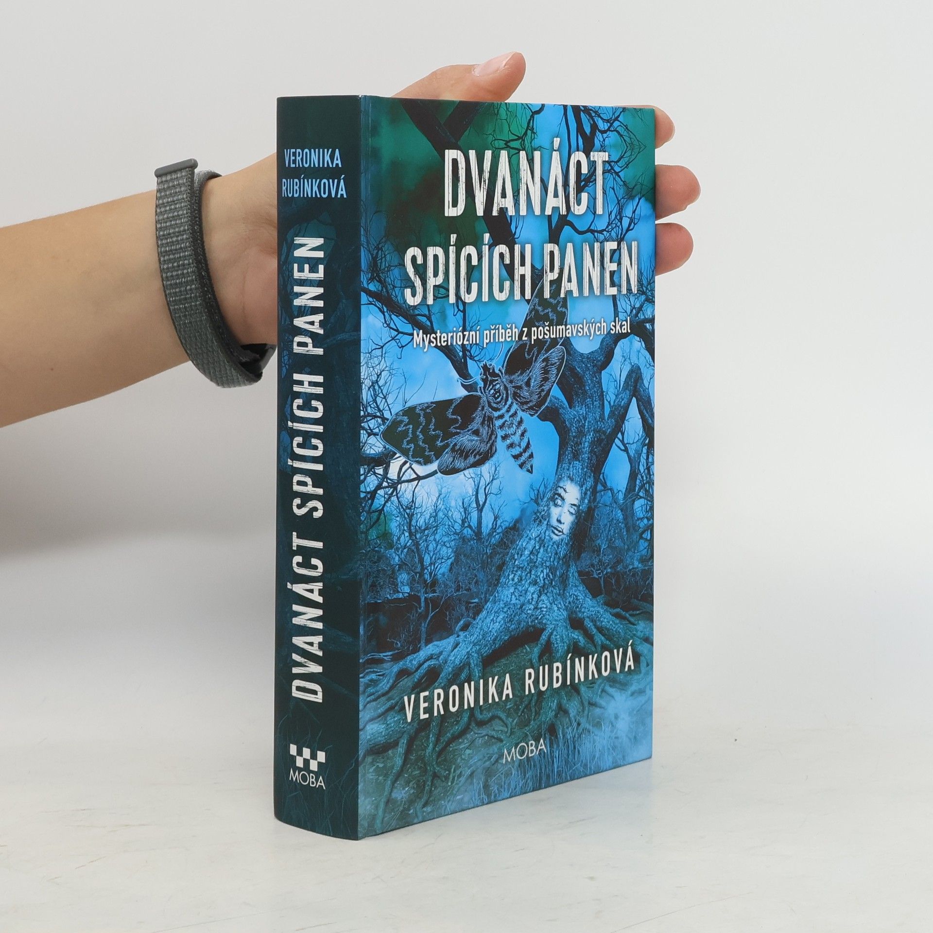 Veronika Rubínková Dvanáct spících panen