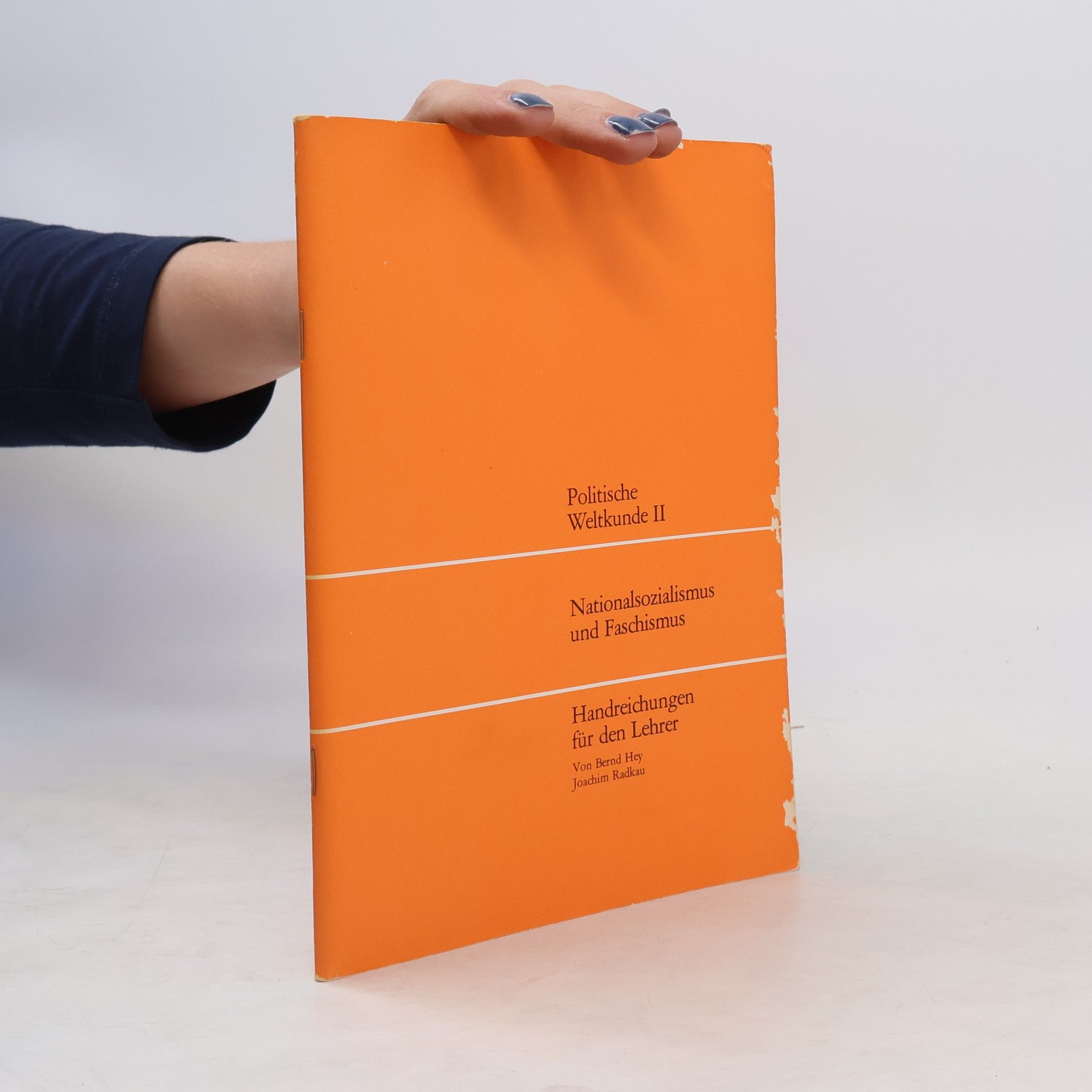 Bernd Hey Politische Weltkunde II.