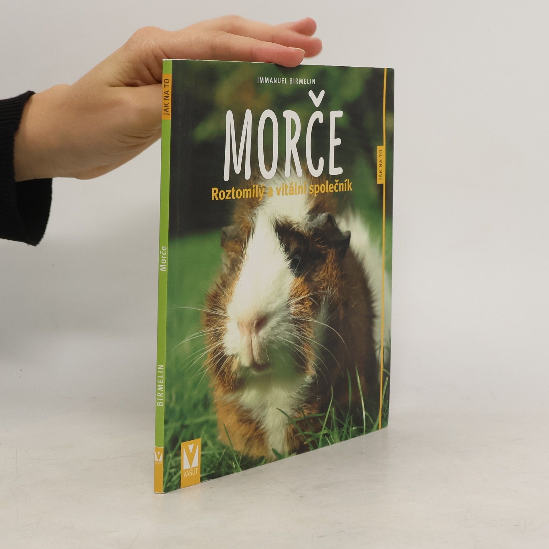 Morče. Roztomilý a vitální společník