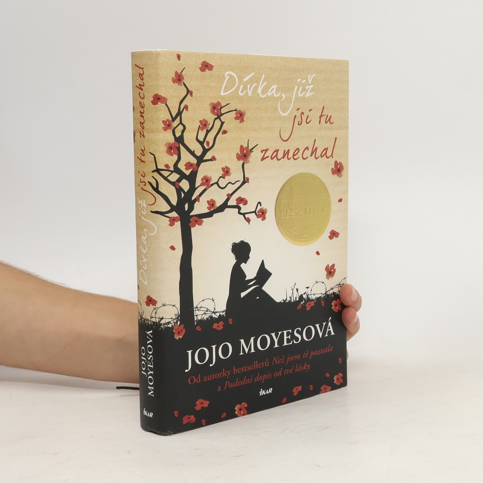 Lucie Mikolajková Dívka, již jsi tu zanechal