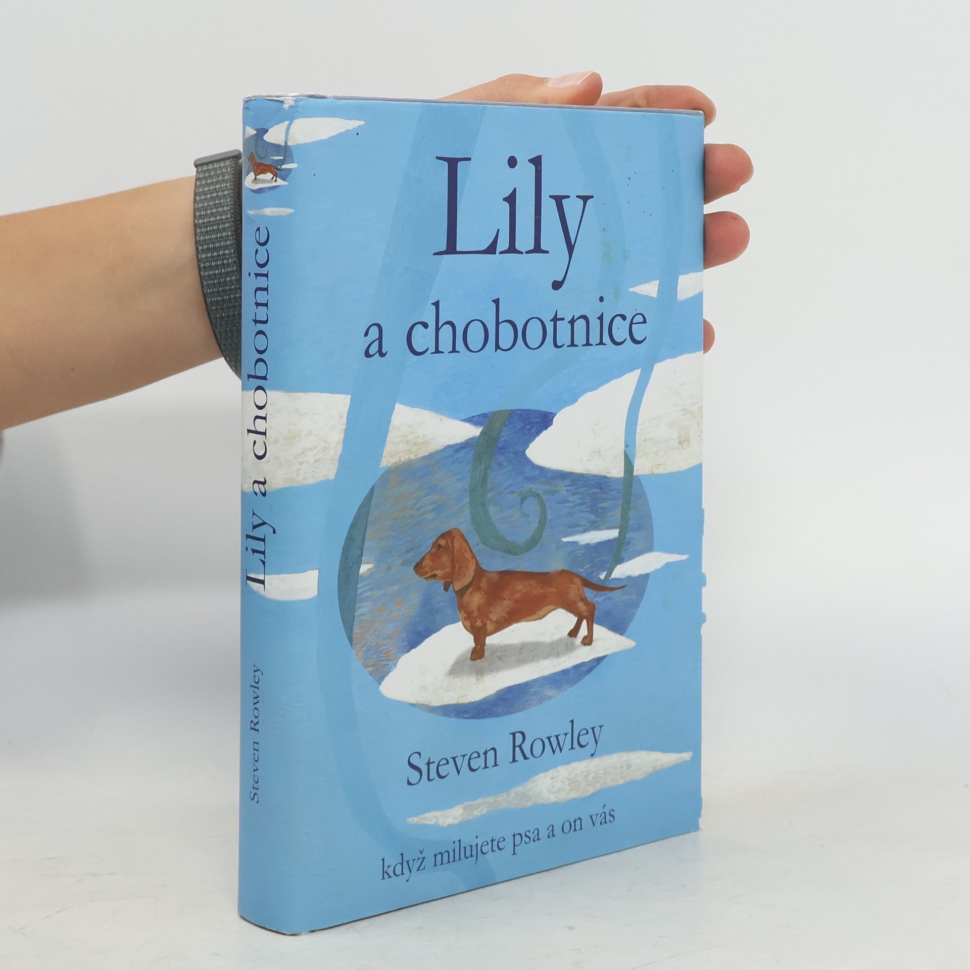 Steven Rowley Lily a chobotnice: Když milujete psa a on vás