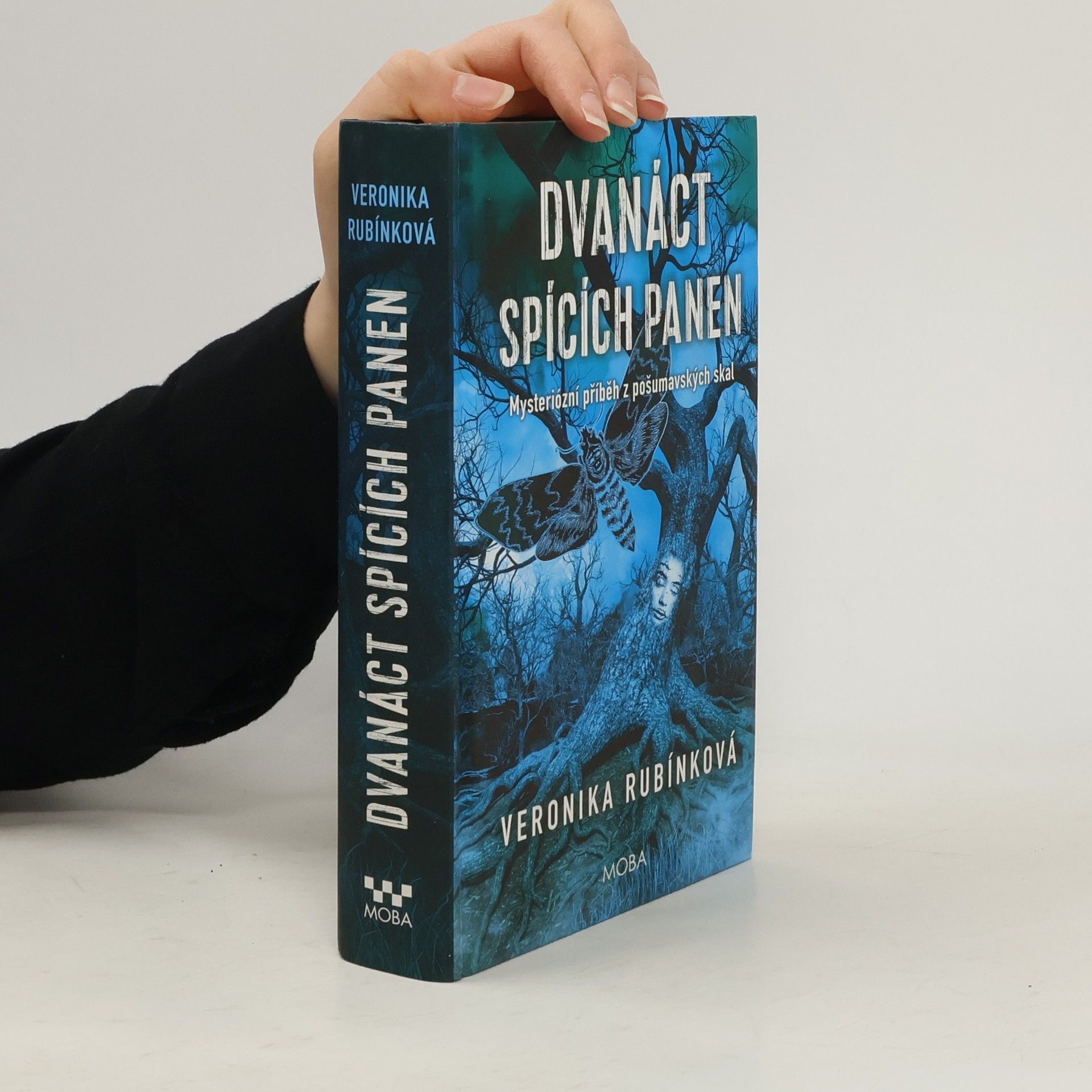 Dvanáct spících panen