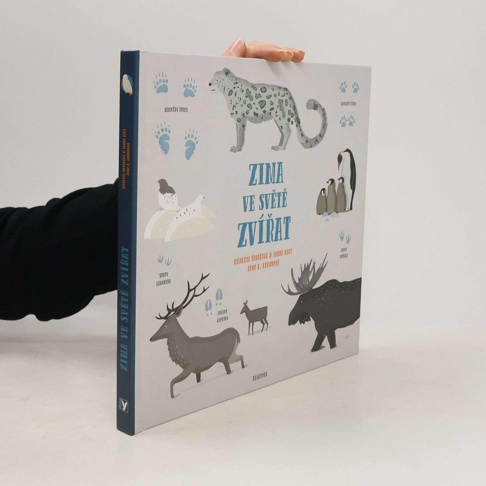 Zima ve světě zvířat