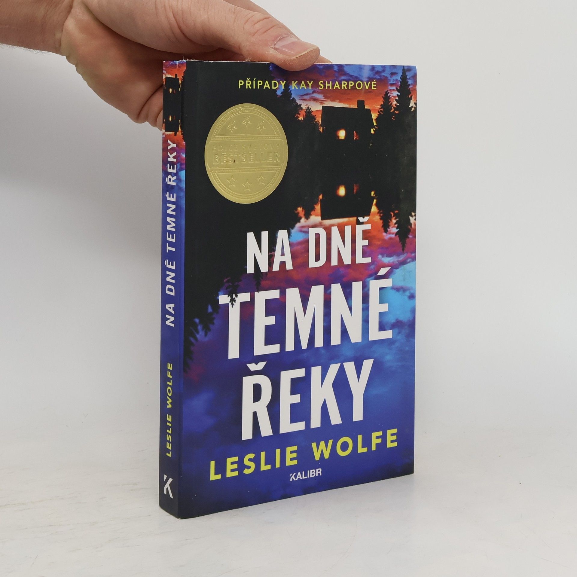 Leslie Wolfe Na dně Temné řeky