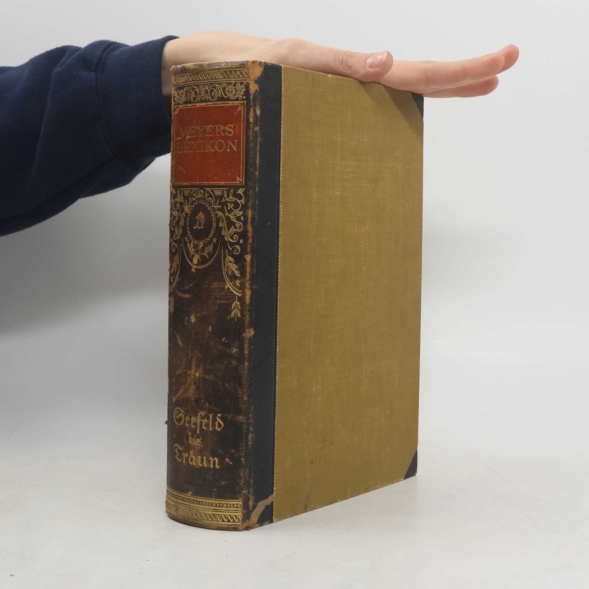 Autorenkollektiv Meyers Lexikon 11.