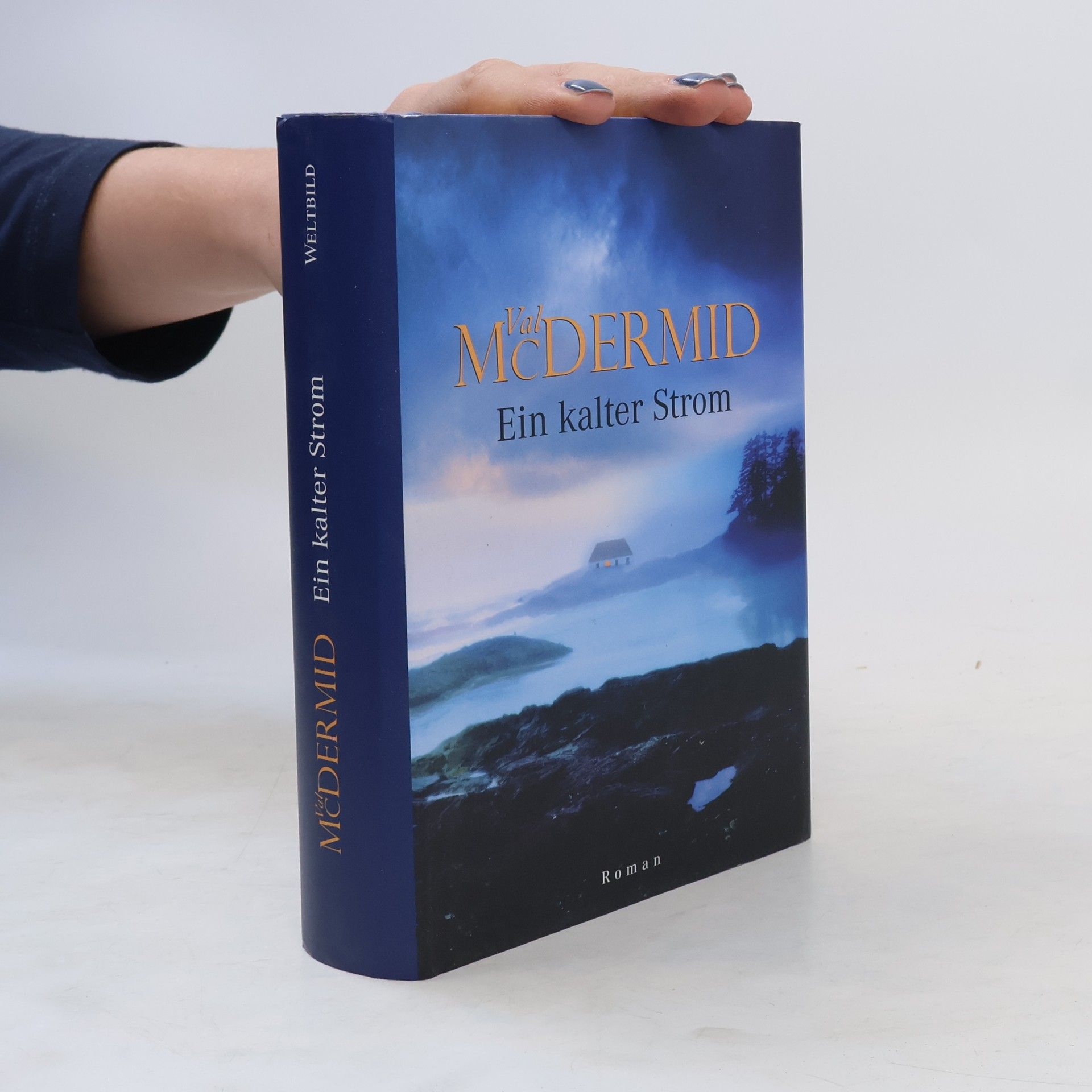 Val McDermid Ein kalter Strom