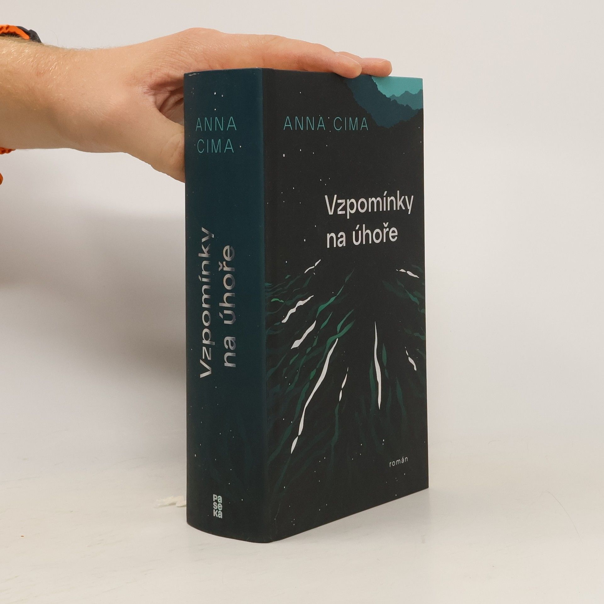 Vzpomínky na úhoře