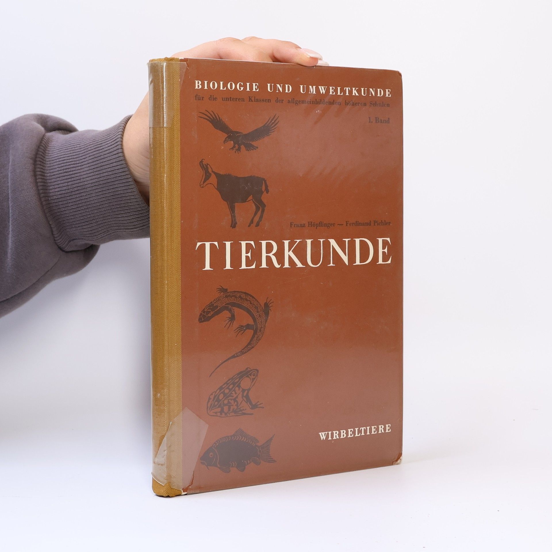 Franz Höpflinger Lehrbuch der Naturgeschichte. Band 1: Tierkunde