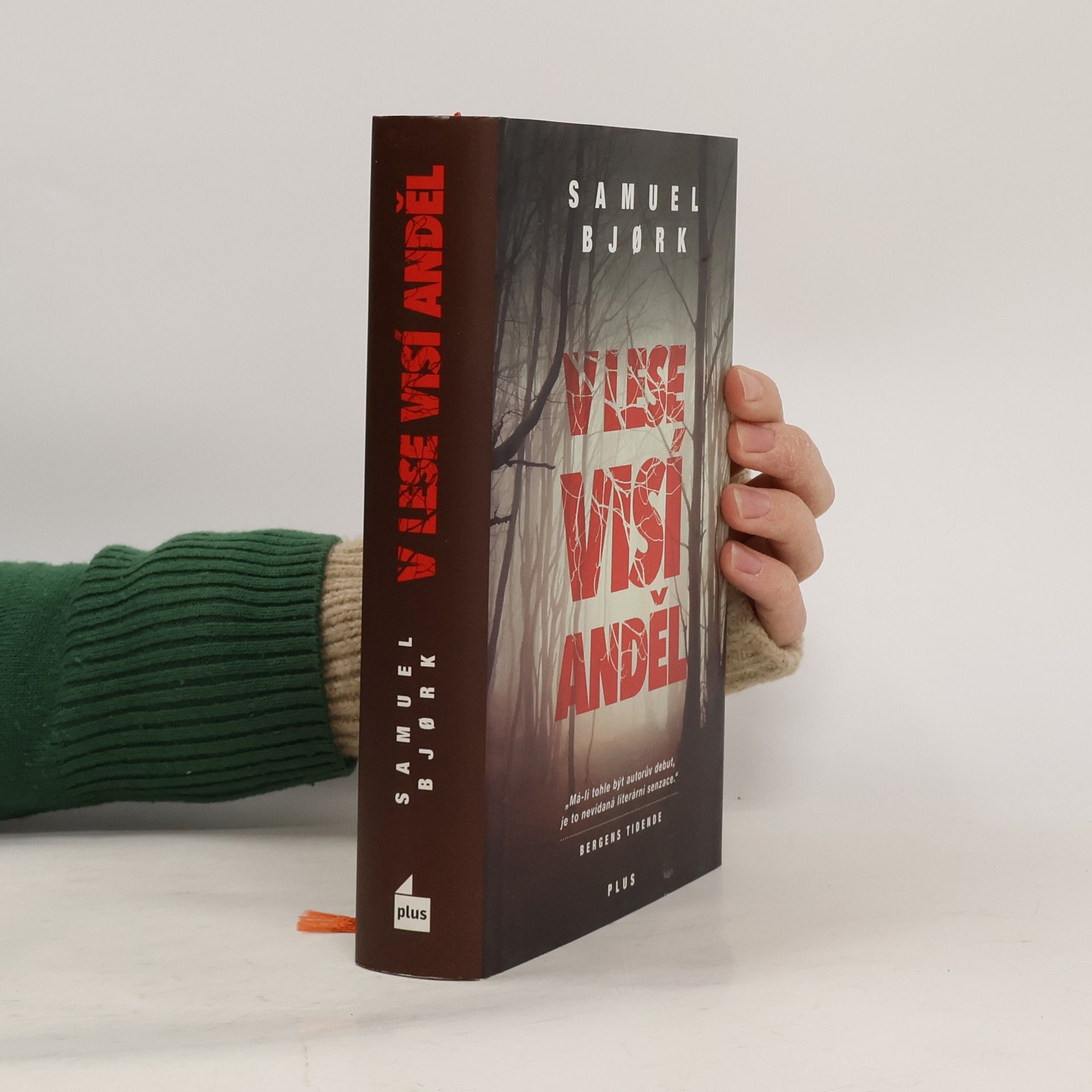 Samuel Bjork V lese visí anděl