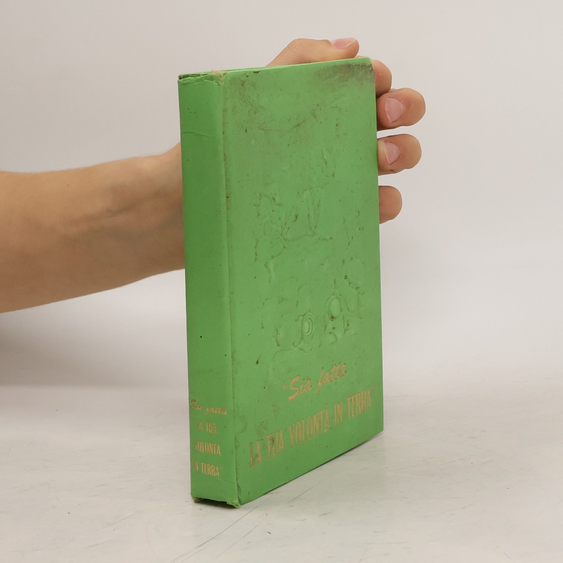 AA.VV. Sia fatta la tua volontà in terra