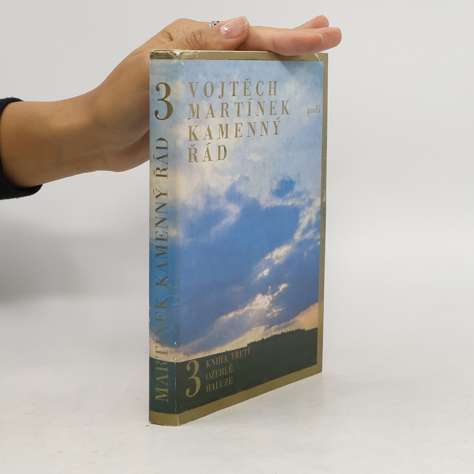 Vojtěch Martínek Kamenný řád 3