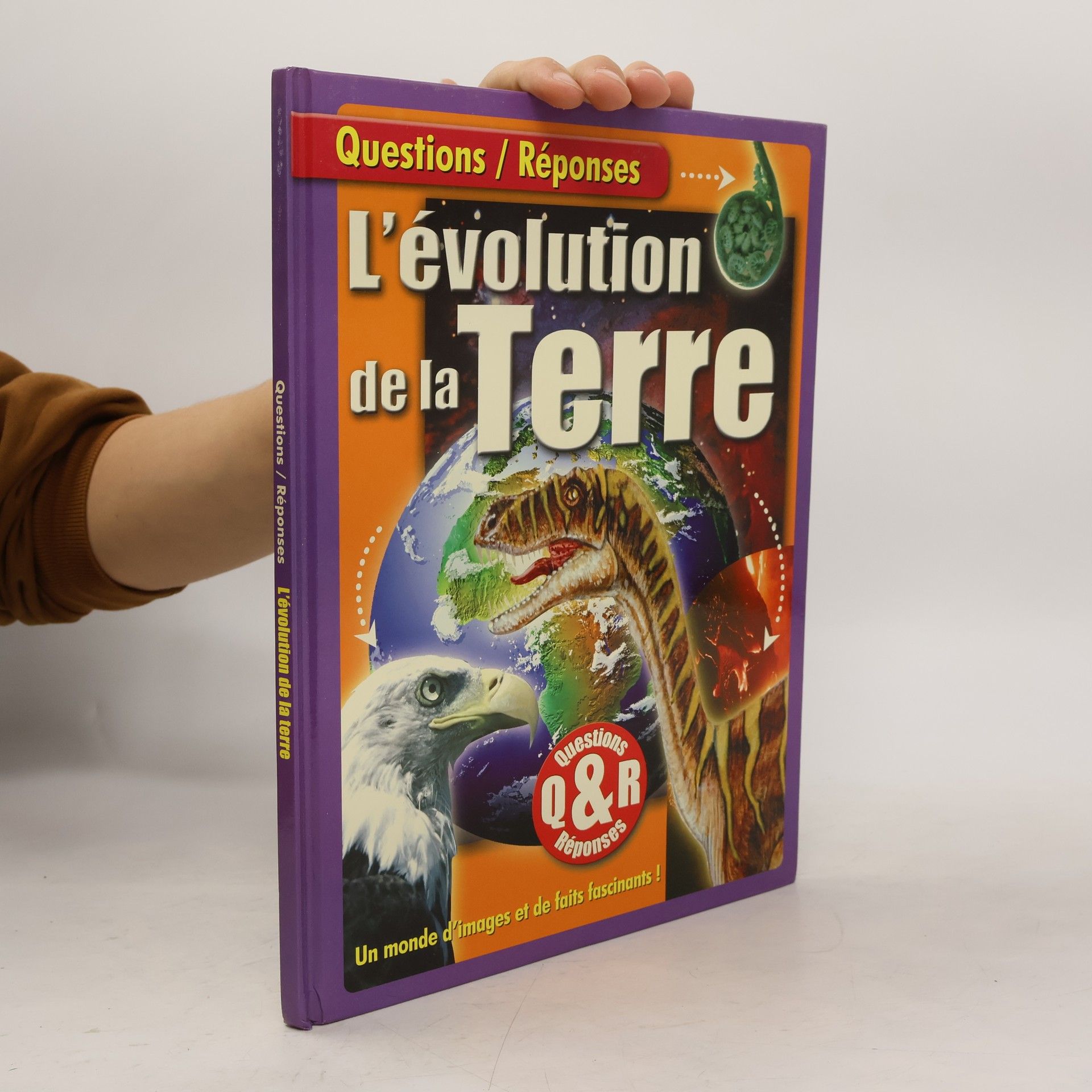 Diane Schmolke Questions / Réponses: L'évolution de la Terre