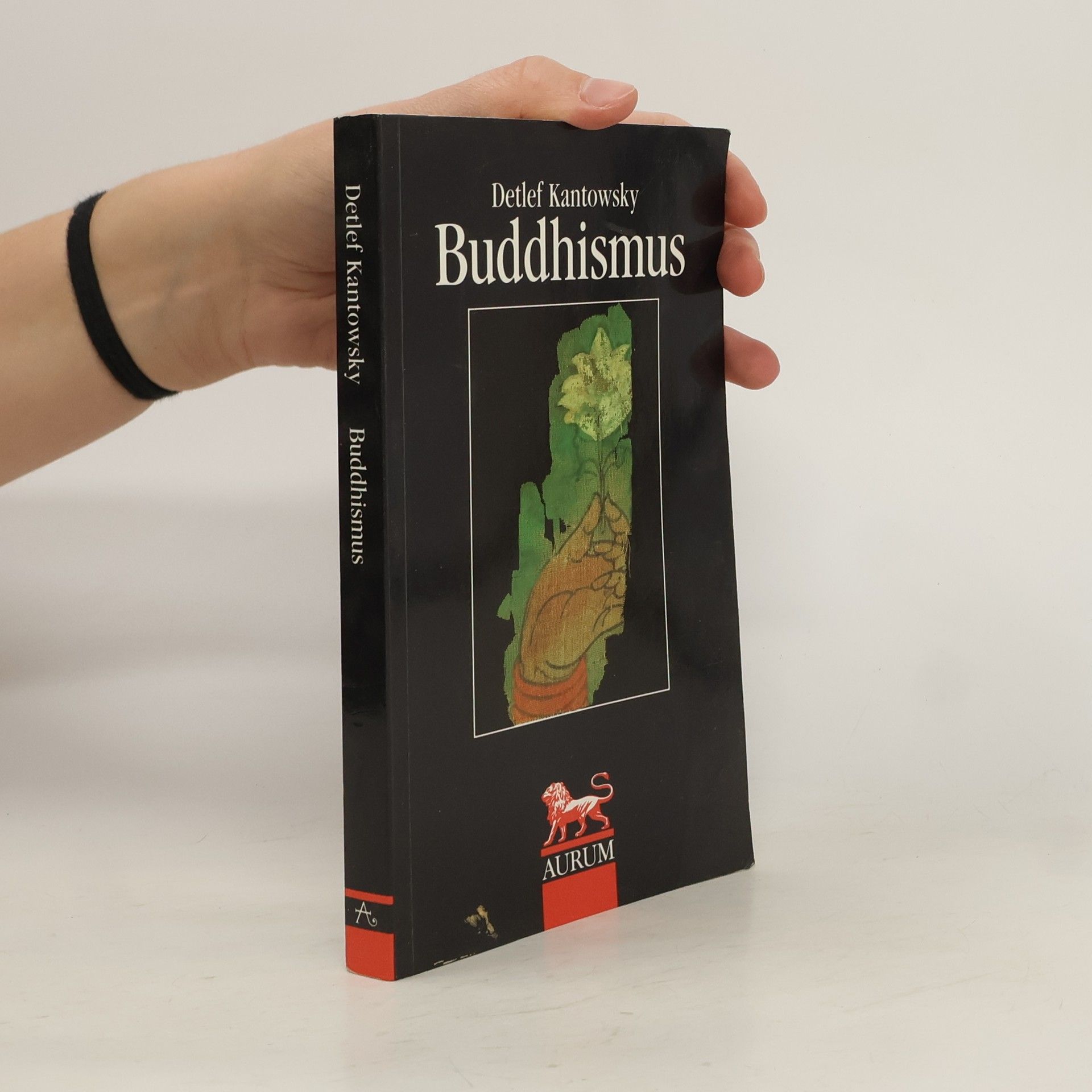 Detlef Kantowsky Buddhismus