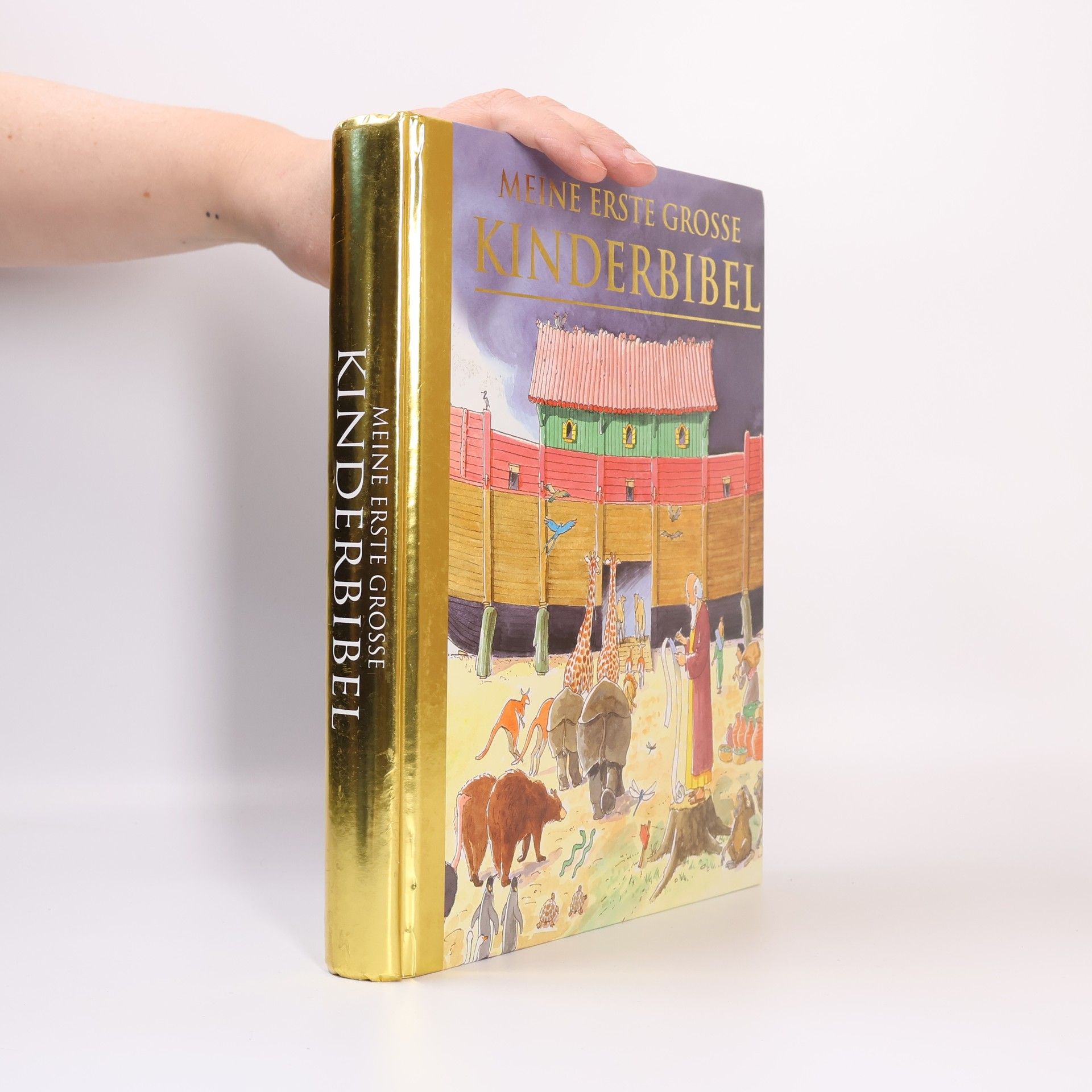 Autorenkollektiv Meine erste grosse Kinderbibel