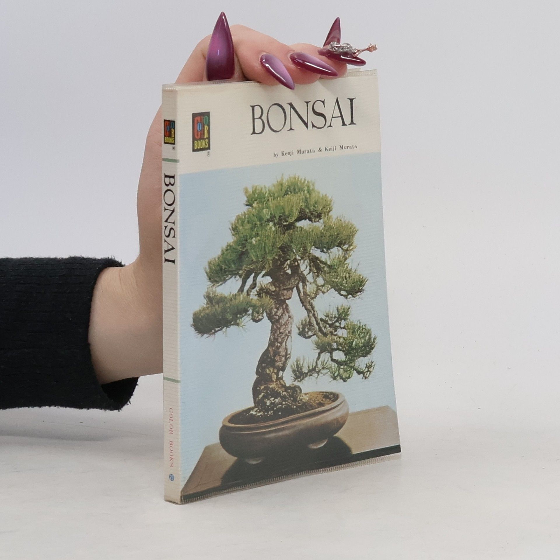 Kenji Murata Bonsai
