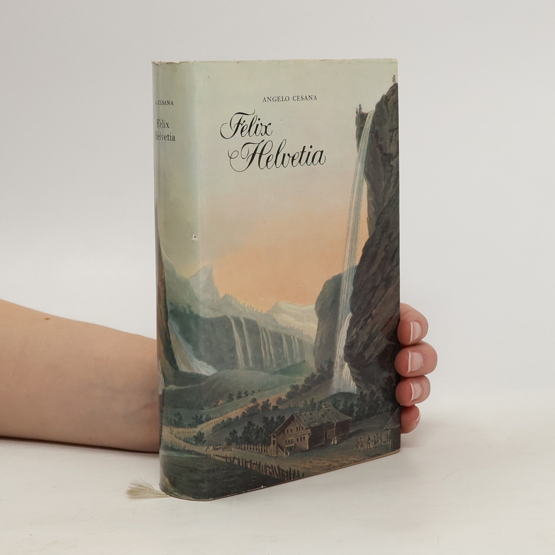 Angelo Cesana Felix Helvetia