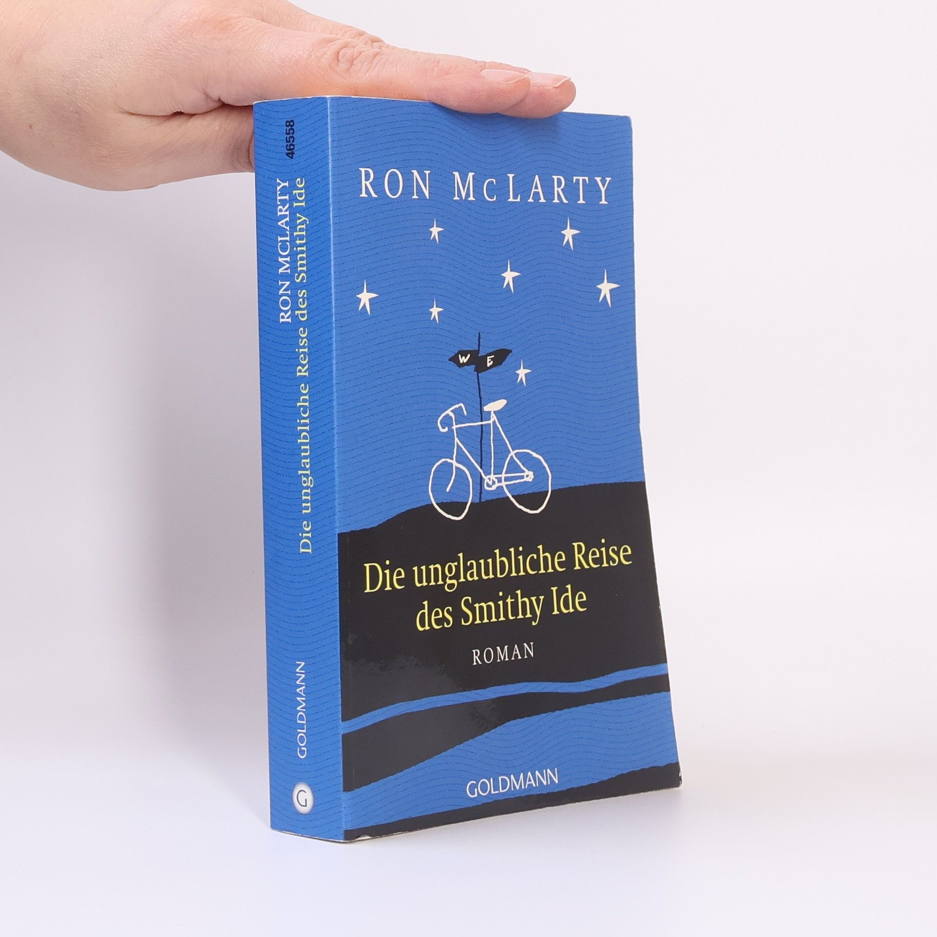 Ron McLarty Die unglaubliche Reise des Smithy Ide