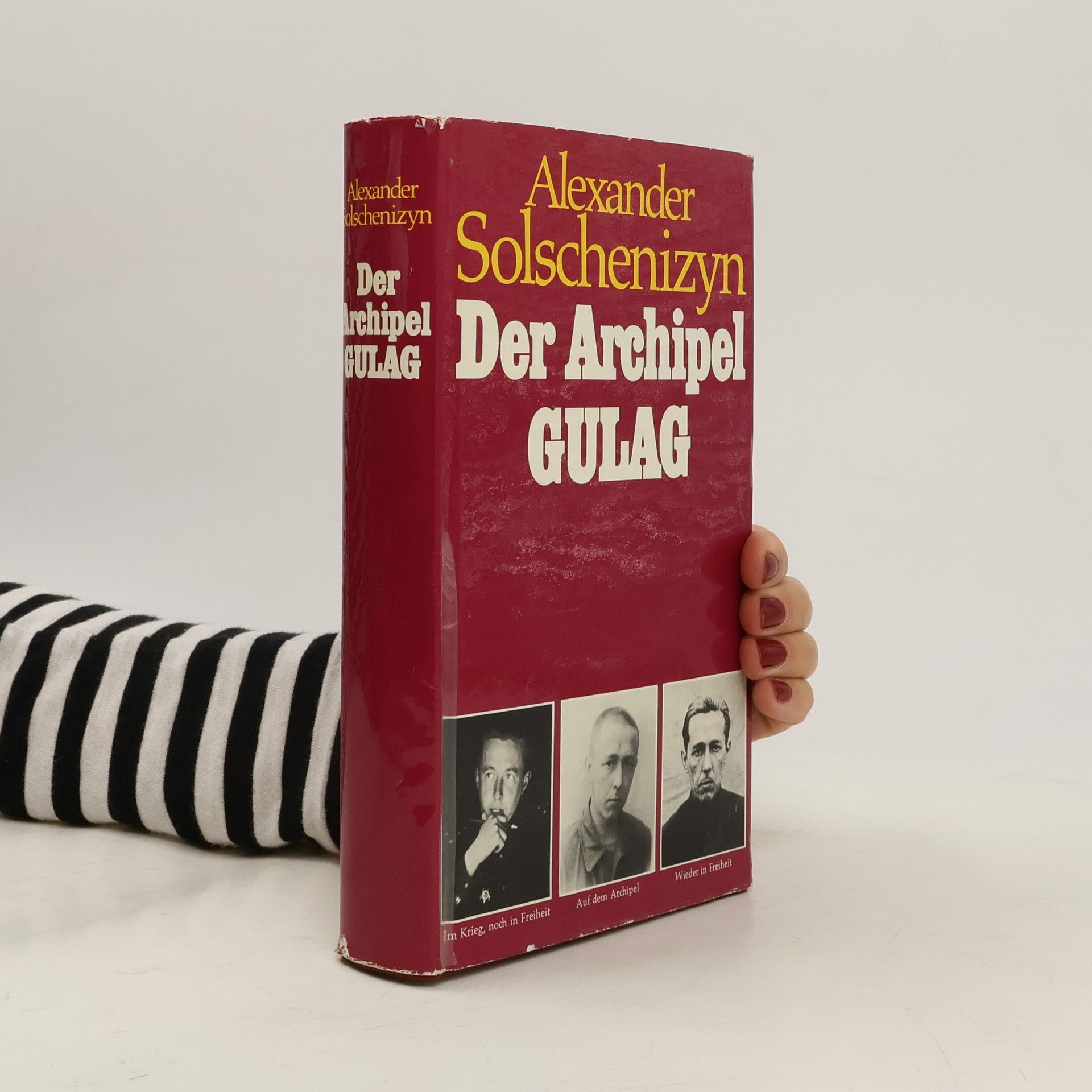 Aleksandr Isajevič Solženicyn Der Archipel Gulag