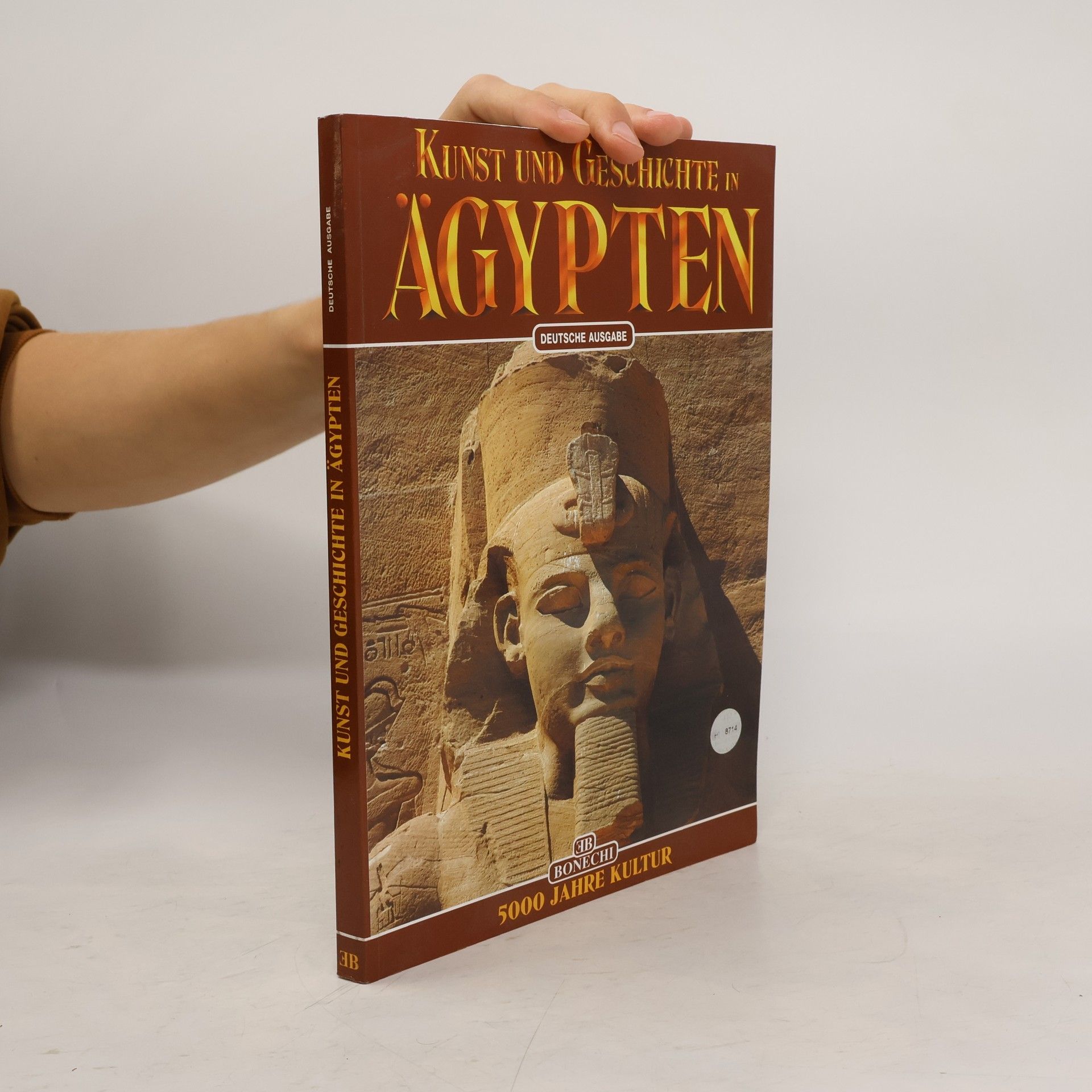 Kunst und Geschichte in Ägypten